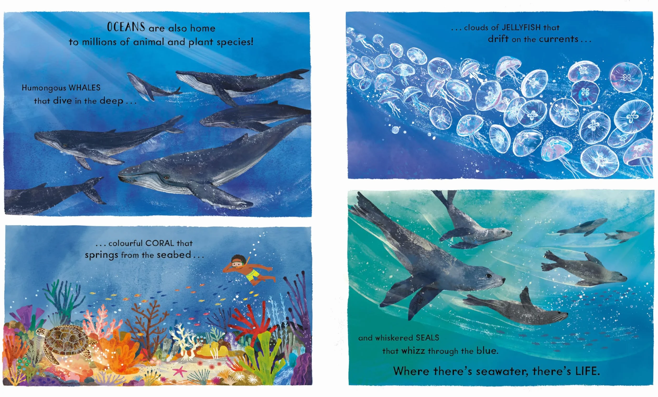 National Trust Wonder World Water: Natural Science of Rain Rivers Oceans
