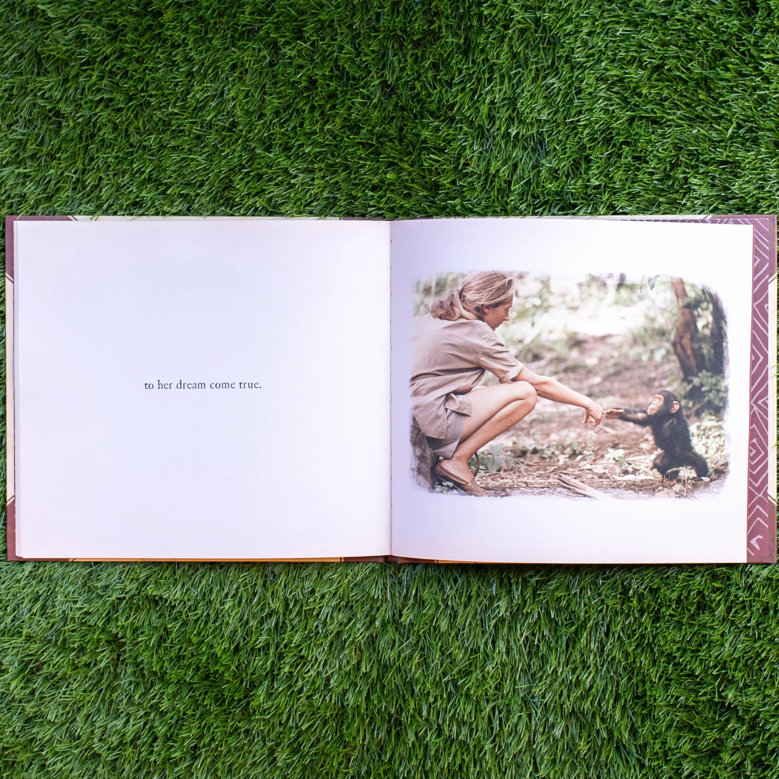 Me . . . Jane (Caldecott Honor Book)