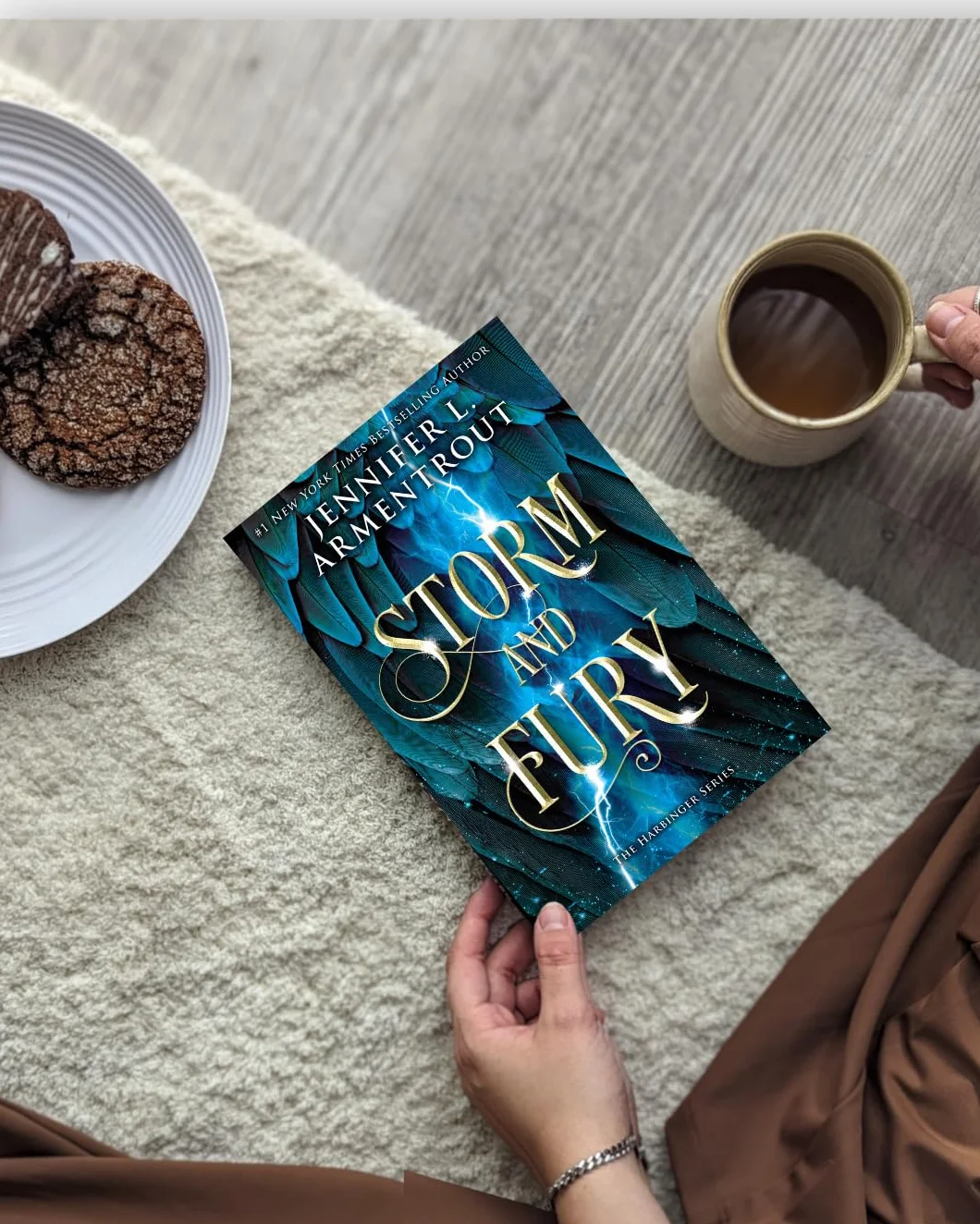 Storm and Fury: Heartstopping Romantasy with Angels, Demons, Gargoyles Book 1