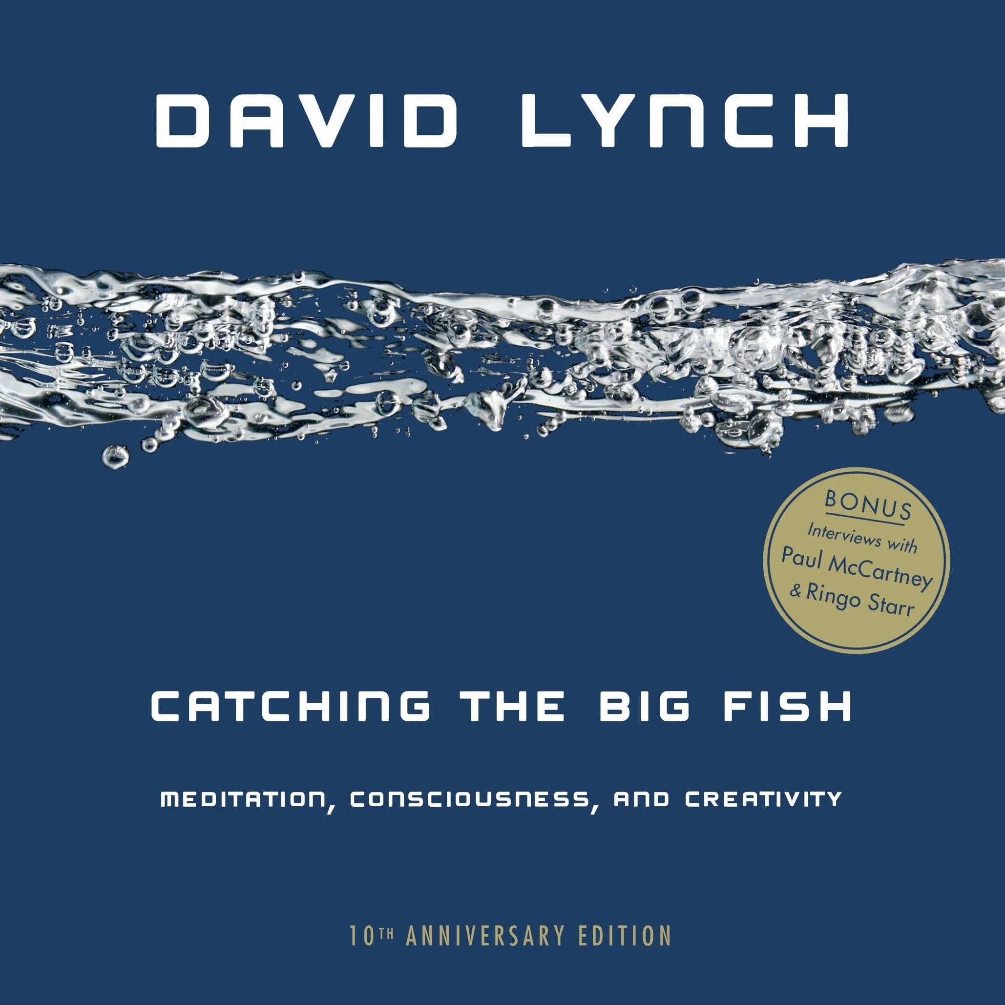 Catching the Big Fish: Meditation, Consciousness, and Creativity 10th Anniversary Edition