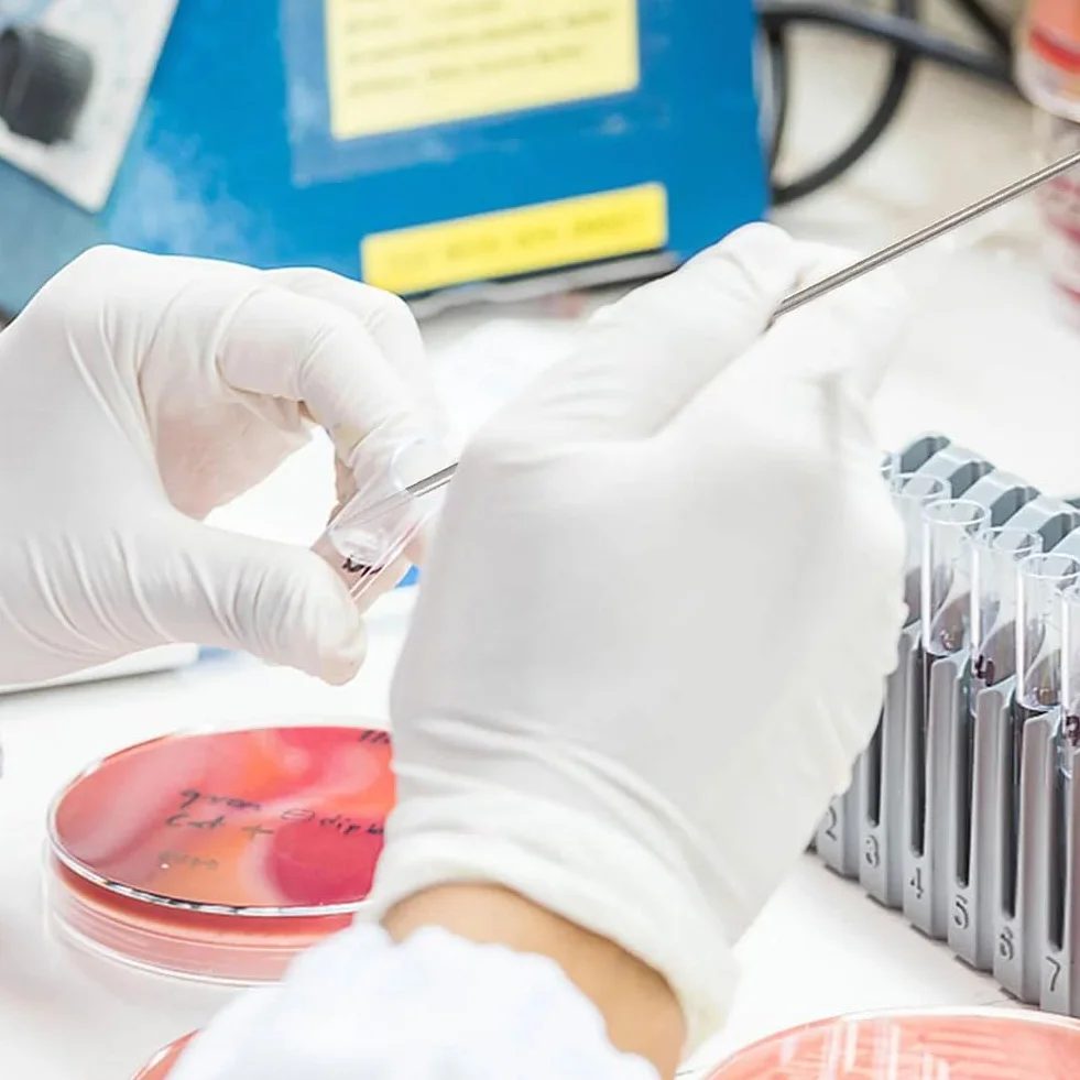 Szpatułka laboratoryjna ze stali nierdzewnej 20 cm, łyżka do próbki, narzędzie laboratoryjne, 2 sztuki