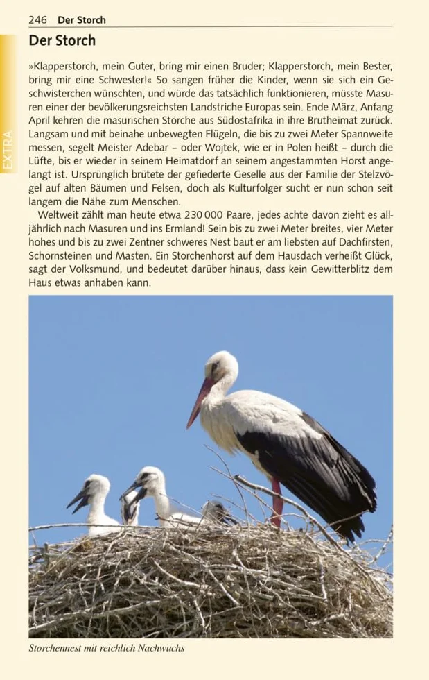 TRESCHER Reiseführer Masuren: Marienburg, Danzig, Thorn