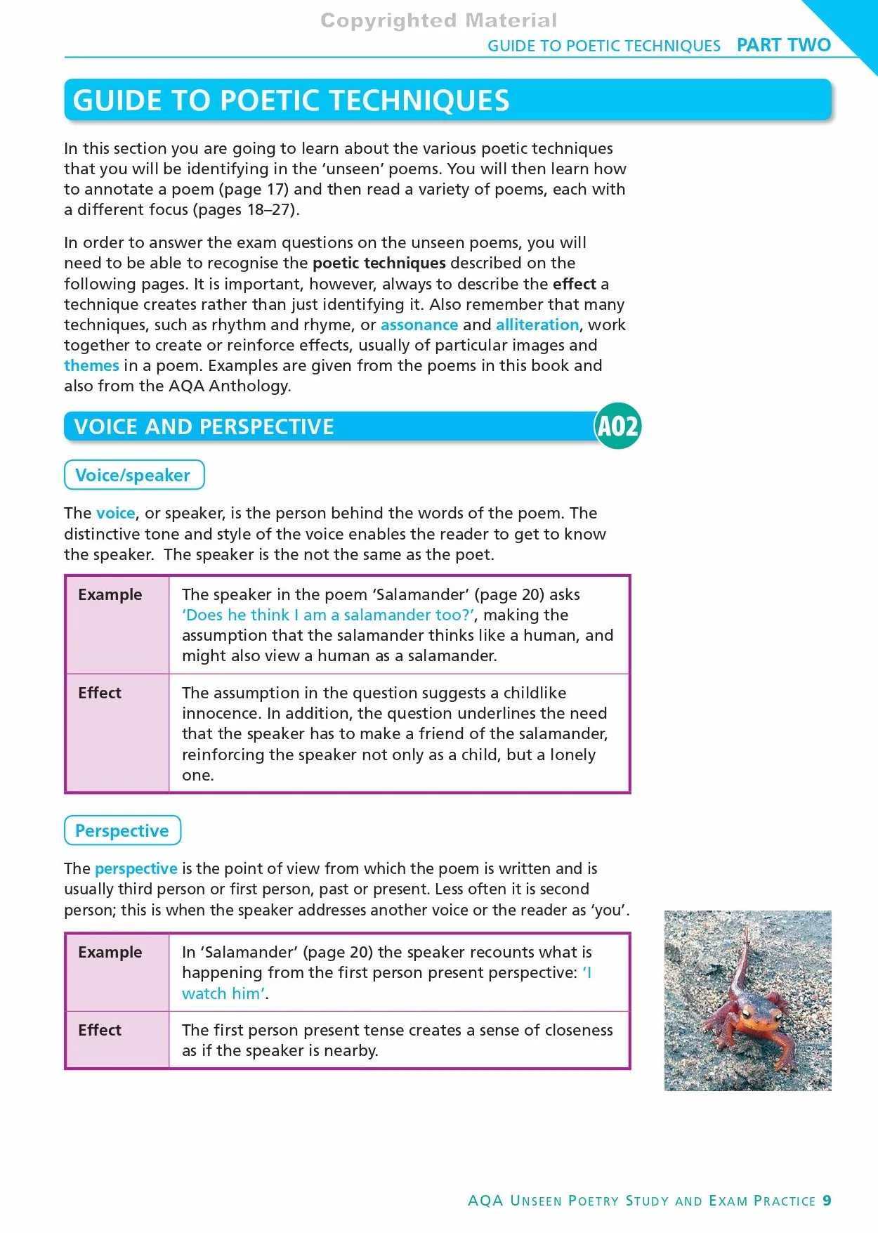 AQA English Literature Unseen Poetry Study and Exam Practice York Notes GCSE - for 2026, 2027 exams: York Notes Series