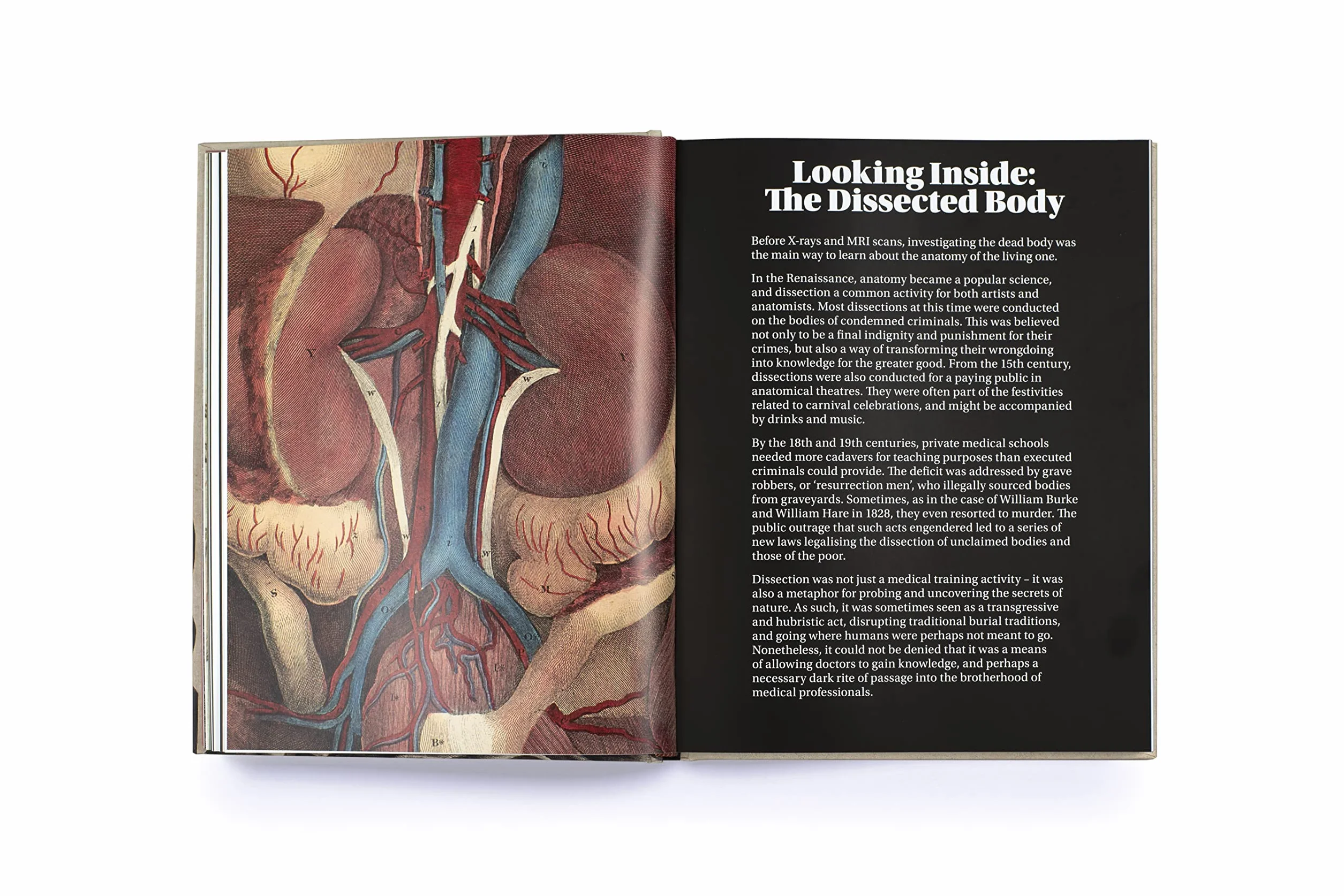 Anatomica: The Exquisite and Unsettling Art of Human Anatomy