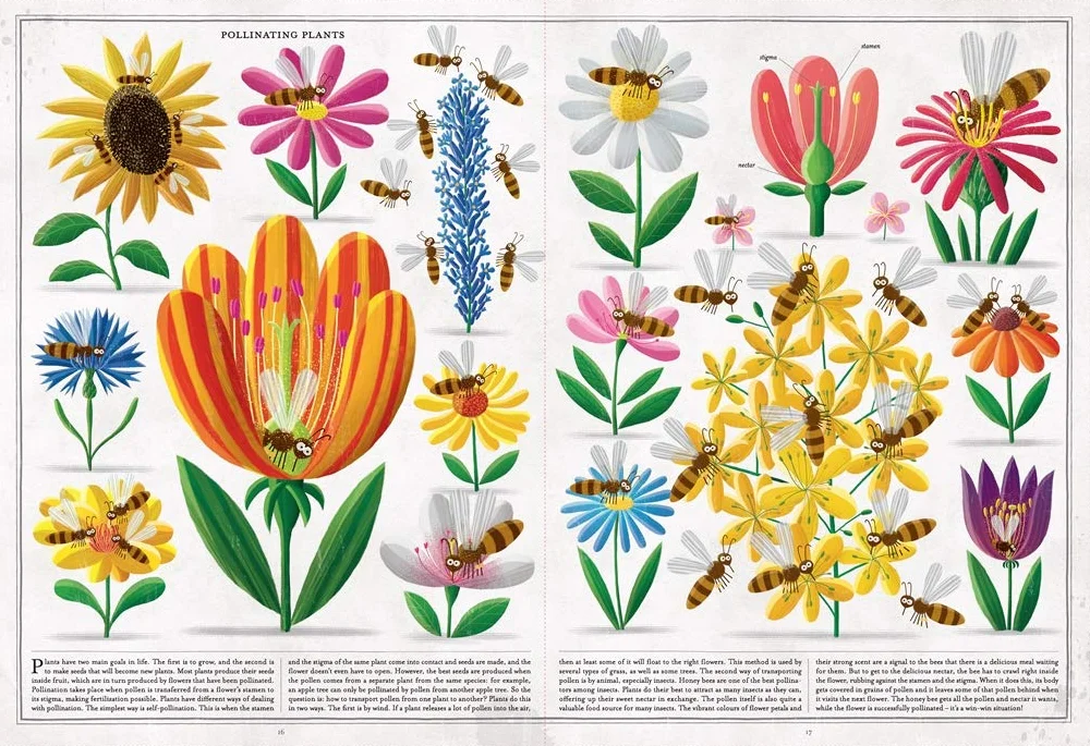 The Book of Bees! /anglais