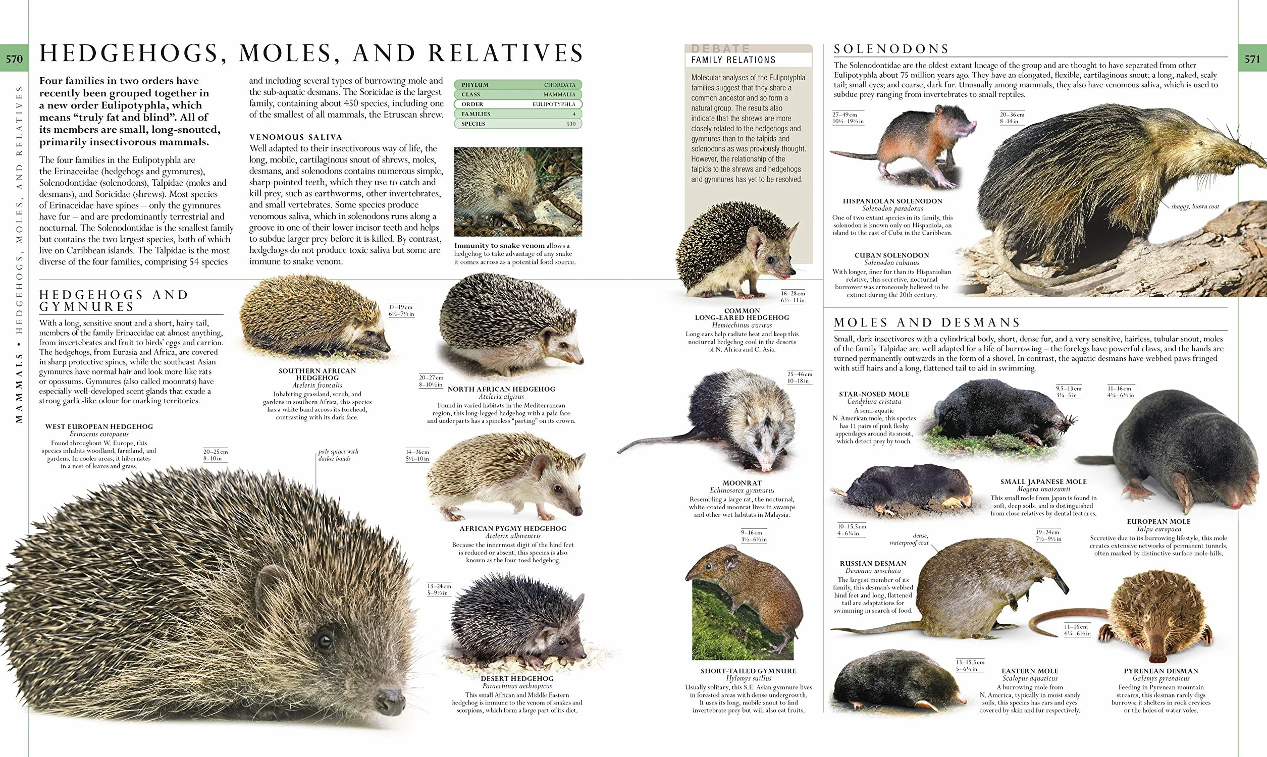 The Natural History Book: The Ultimate Visual Guide to Everything on Earth