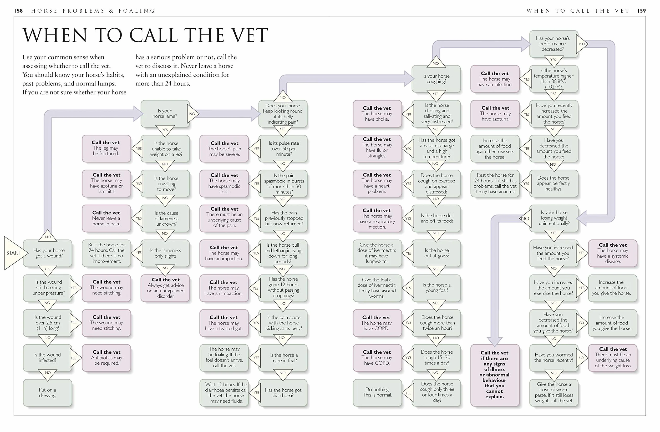 Complete Horse Care Manual