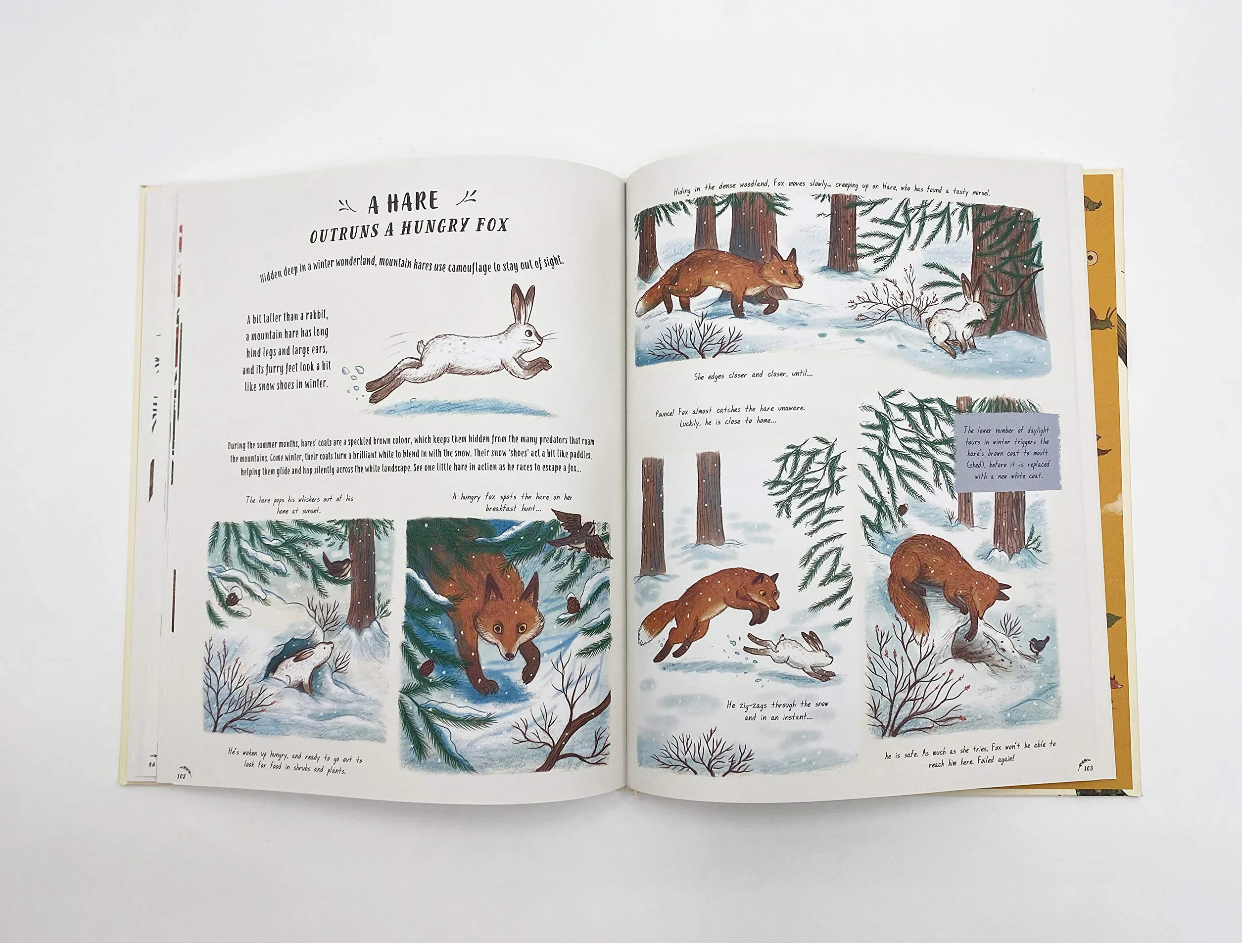 Slow Down: Bring Calm to a Busy World with 50 Nature Stories