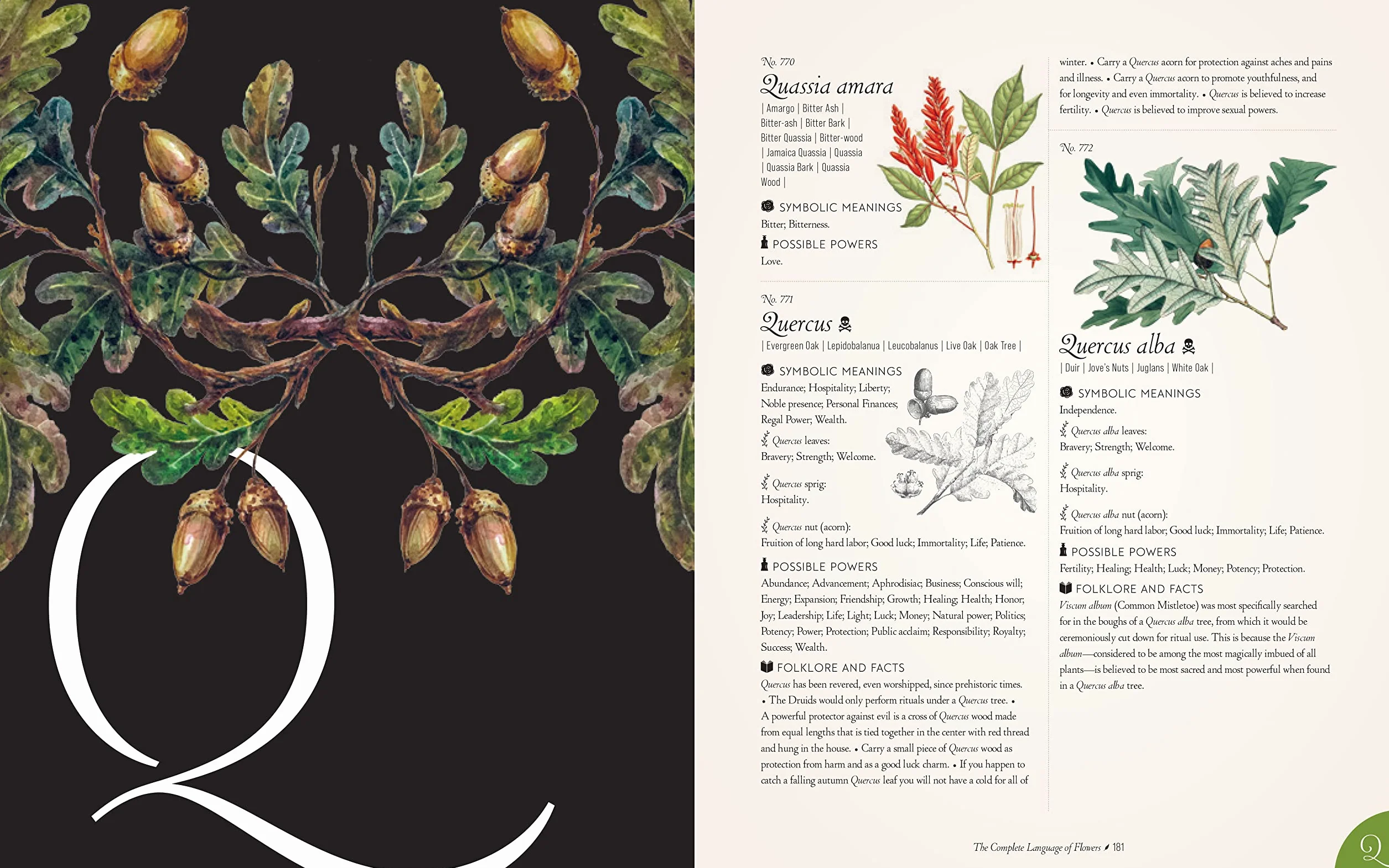 The Complete Language of Flowers: A Definitive and Illustrated History - Pocket Edition