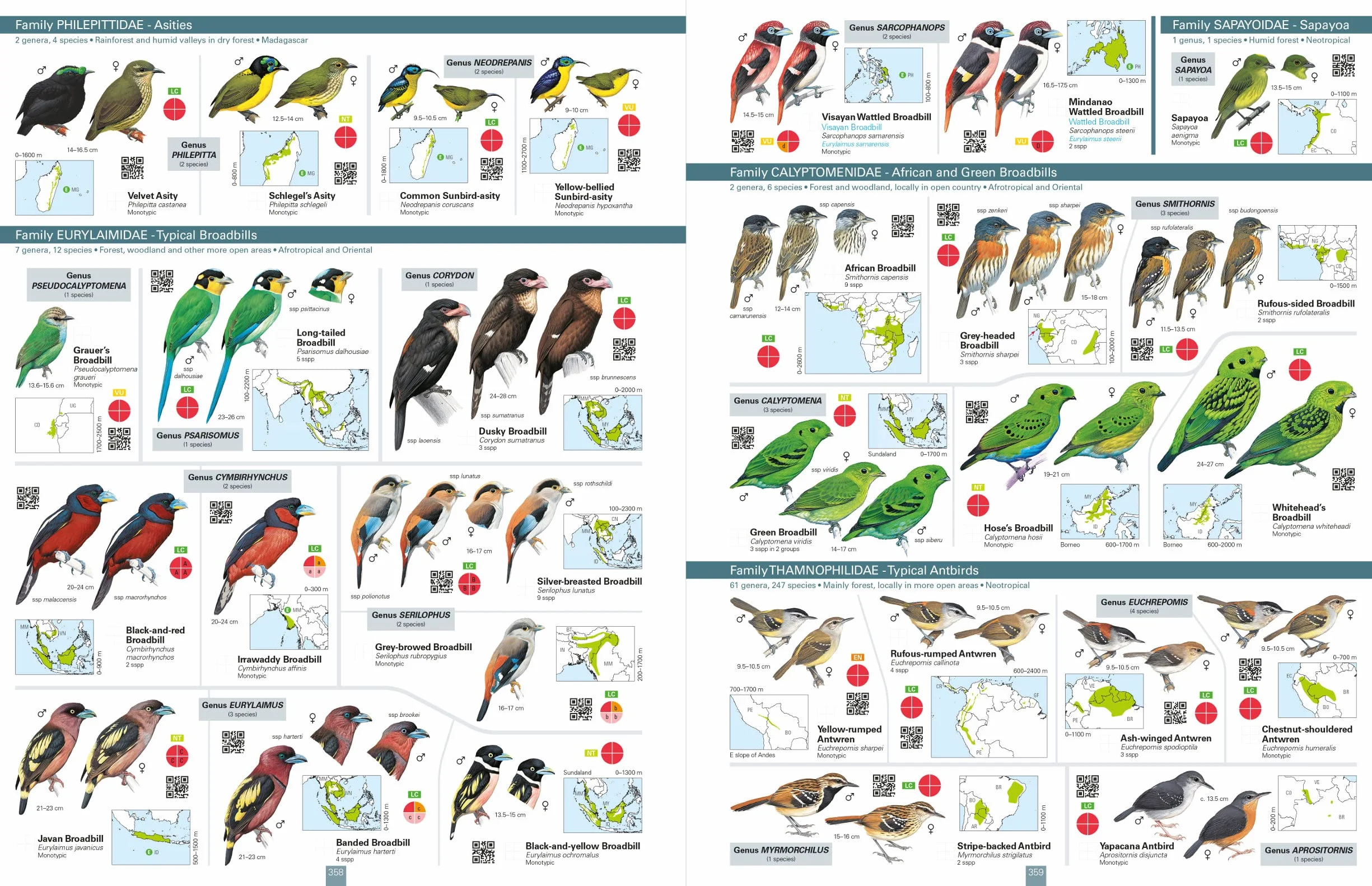 All the Birds of the World