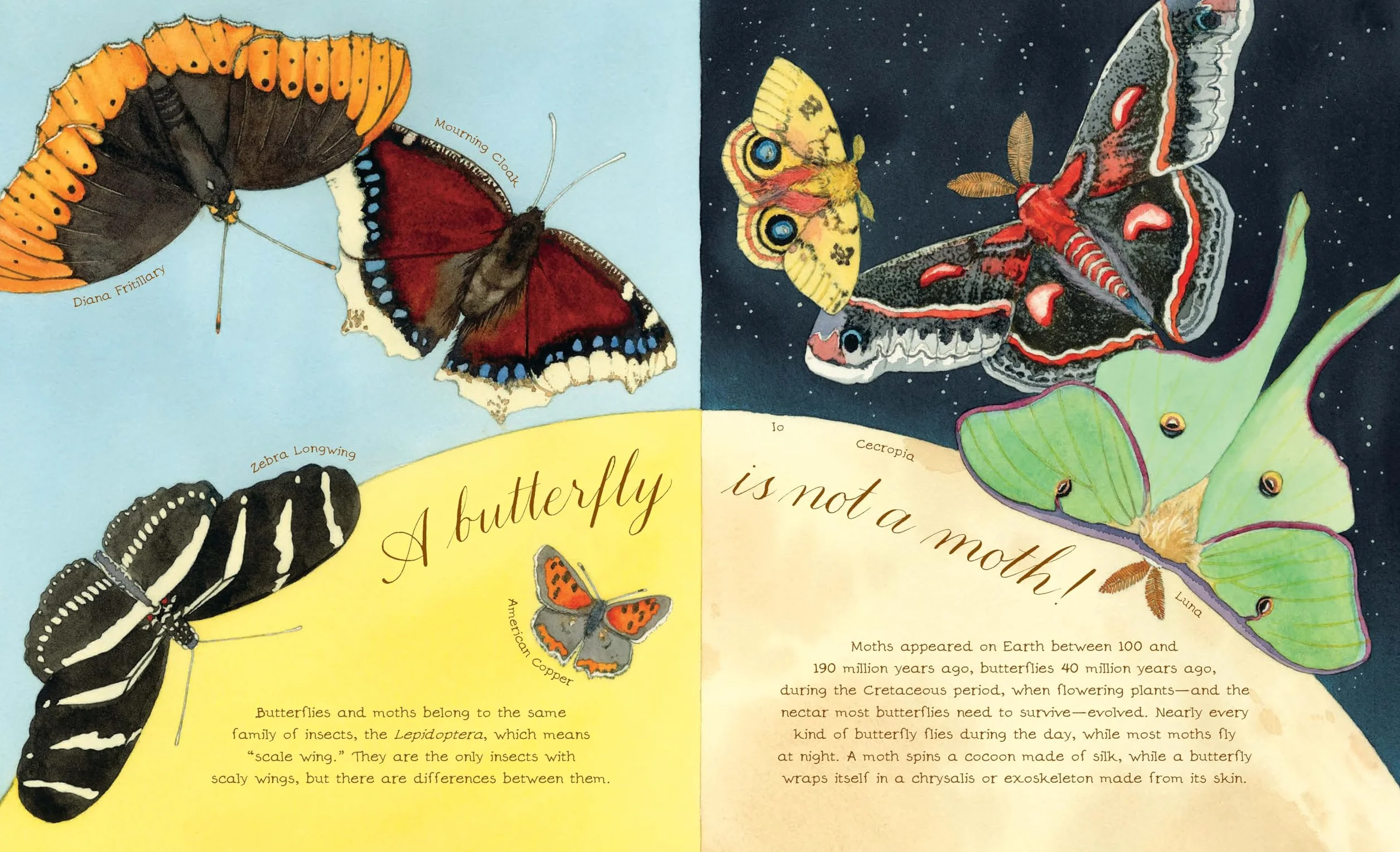 A Butterfly Is Patient: (Nature Books for Kids, Children's Books Ages 3-5, Award Winning Children's Books) (Sylvia Long)