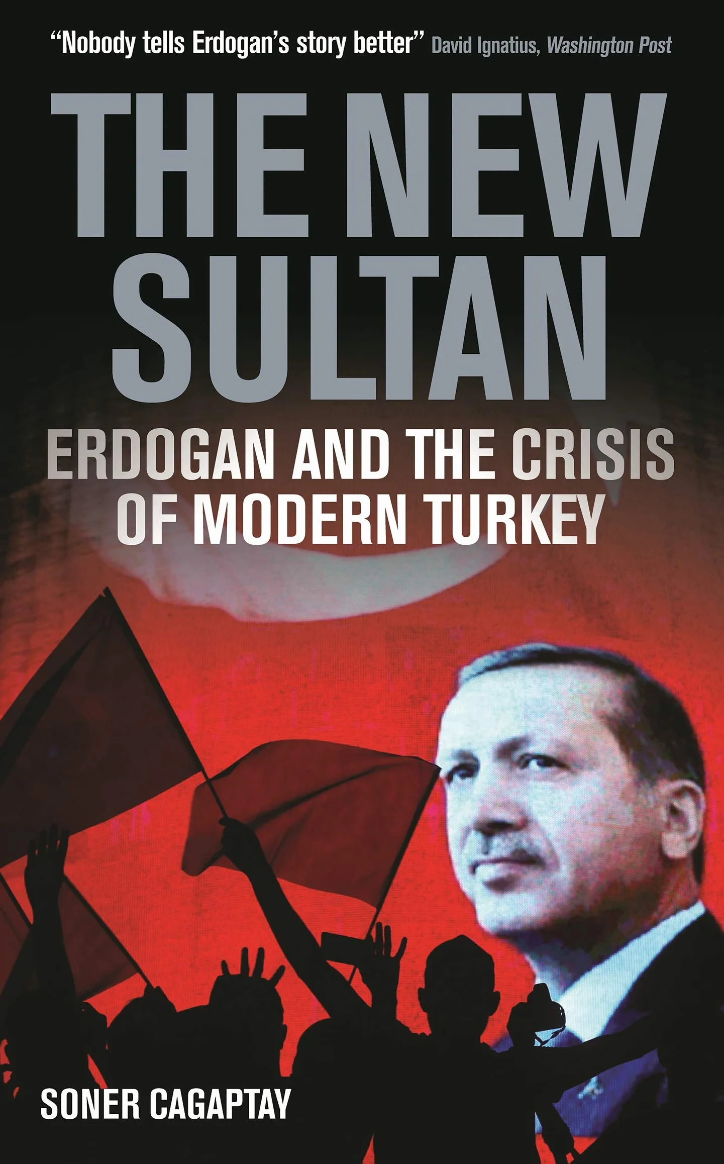 The New Sultan: Erdogan and the Crisis of Modern Turkey