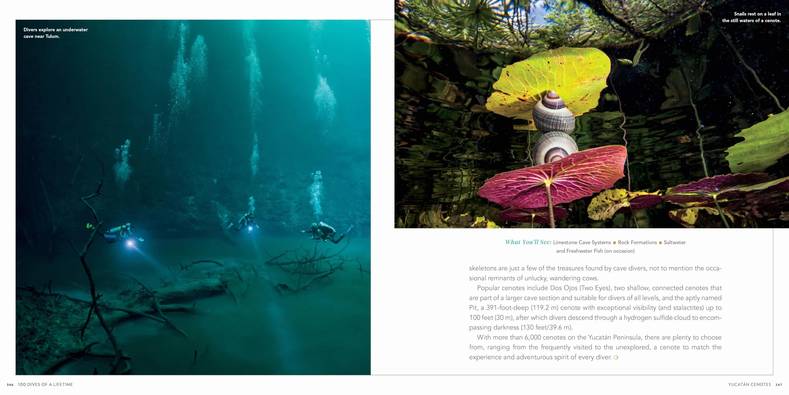 100 Dives of a Lifetime: The World's Ultimate Underwater Destinations