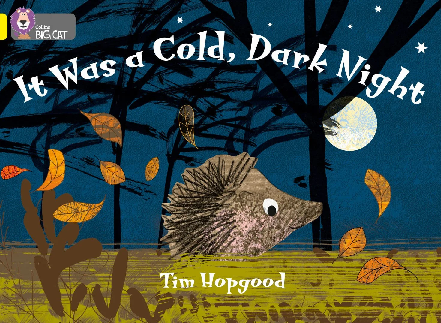 It Was a Cold Dark Night: Band 03/Yellow
