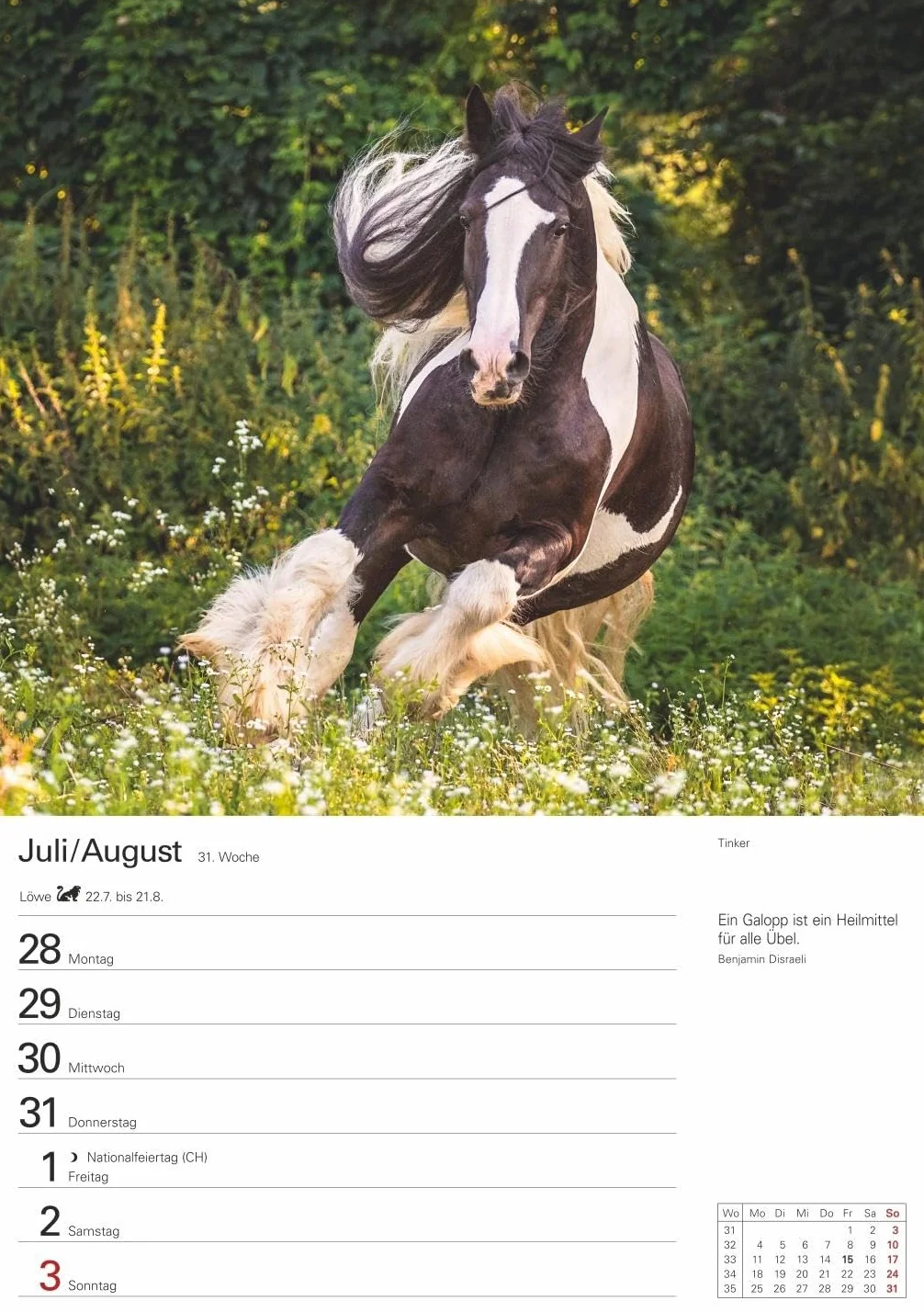 Pferde Wochenplaner 2025 - 53 Blatt mit Zitaten und Wochenchronik: Wochenkalendarium, Zitate und Pferdefotos in einem praktischen Termin-Kalender. ... Fotokalender mit Raum für Notizen