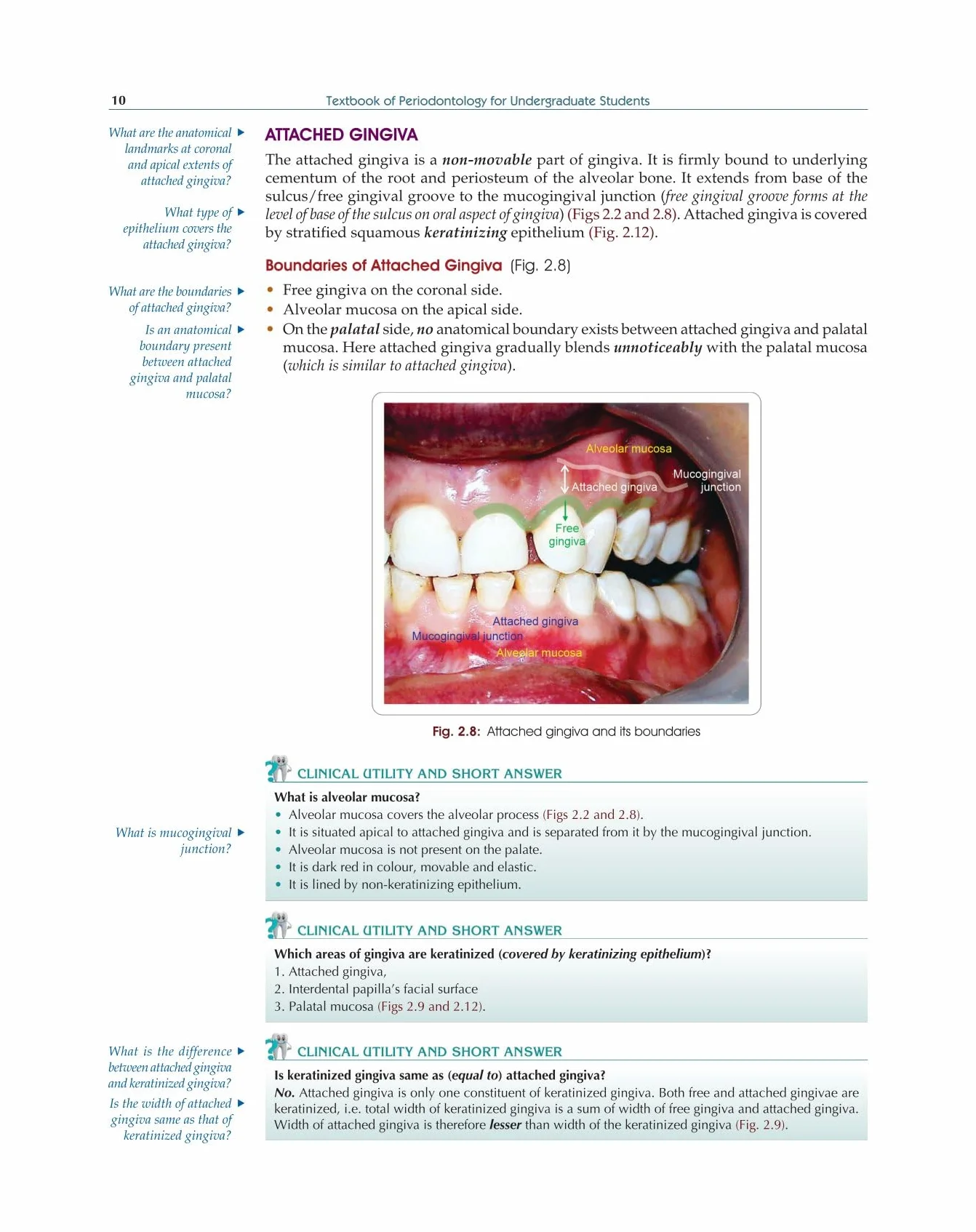 Textbook Of Periodontology For Undergraduate Students