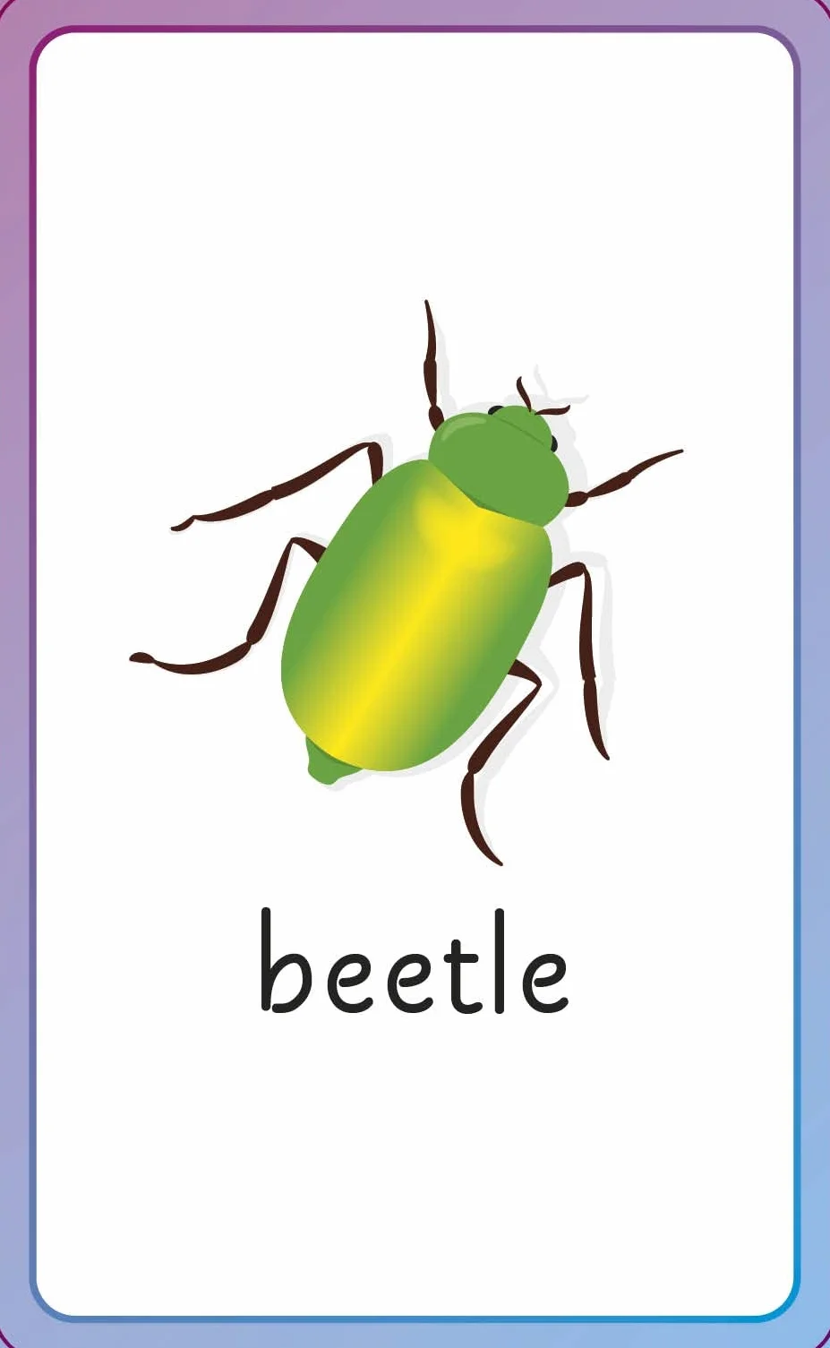 English for Everyone Junior First Words Animals Flash Cards