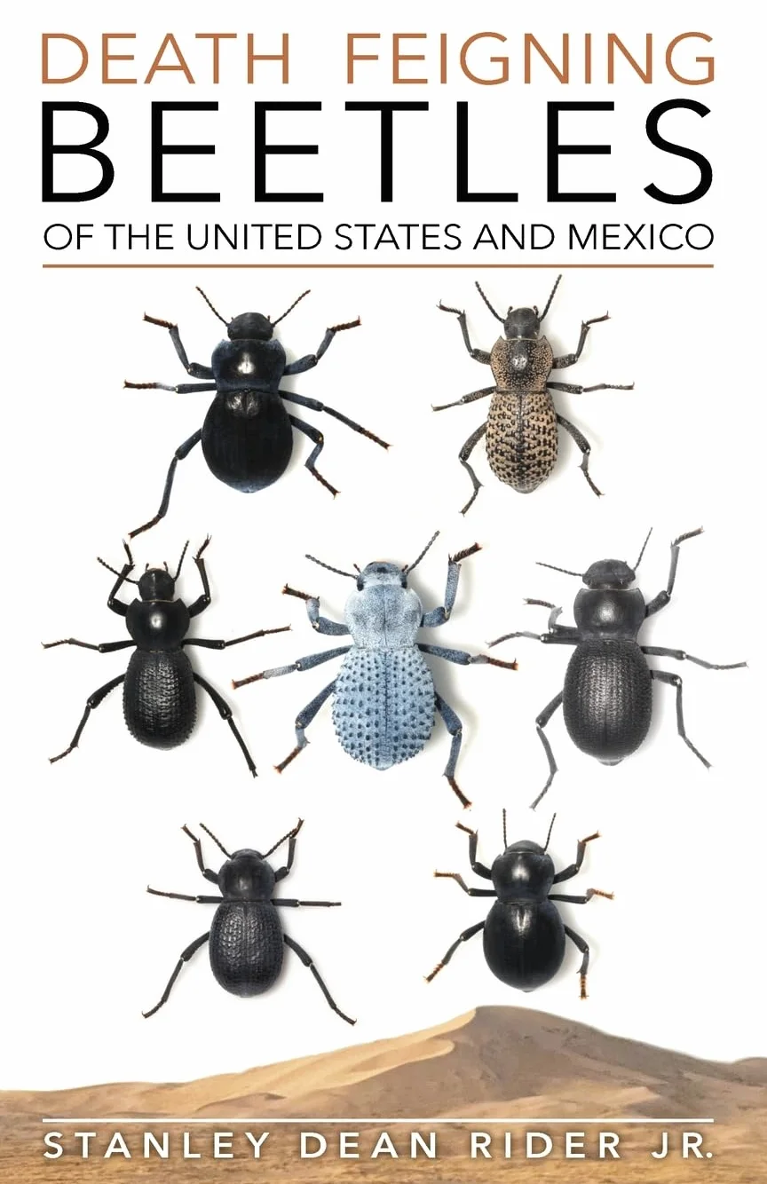 Death Feigning Beetles United States Mexico