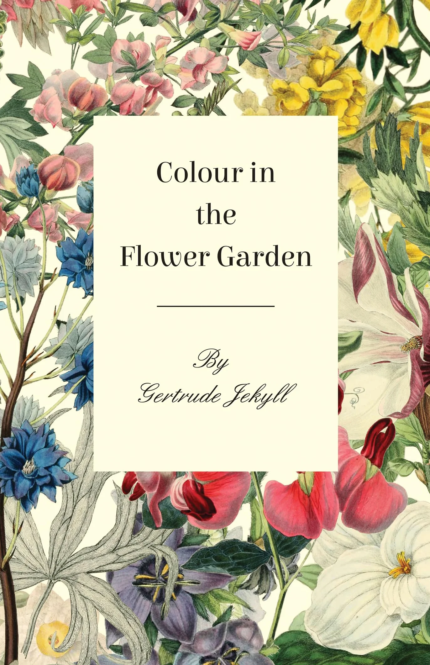 Colour in the Flower Garden