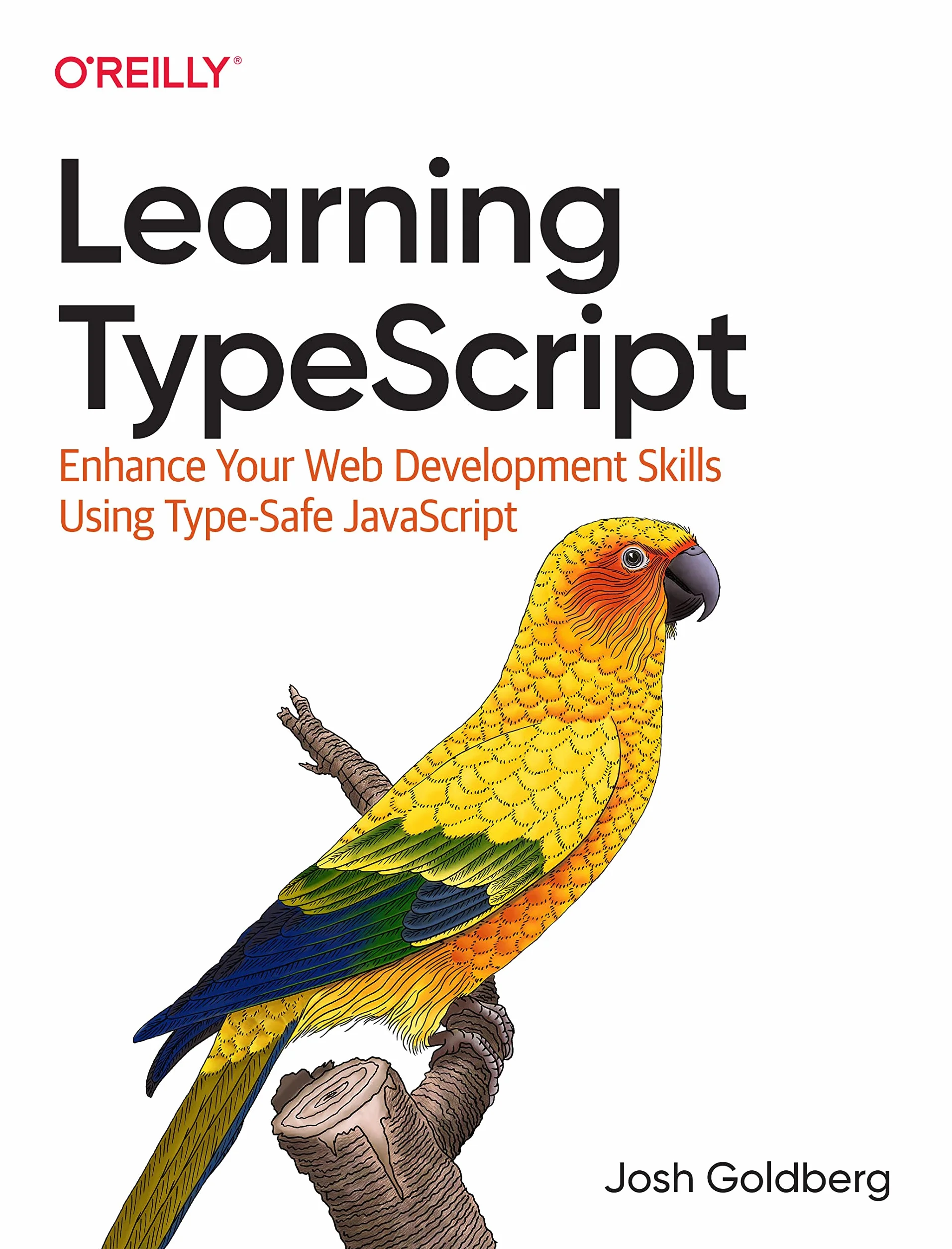 Learning Typescript: Enhance Your Web Development Skills Using Type-Safe JavaScript