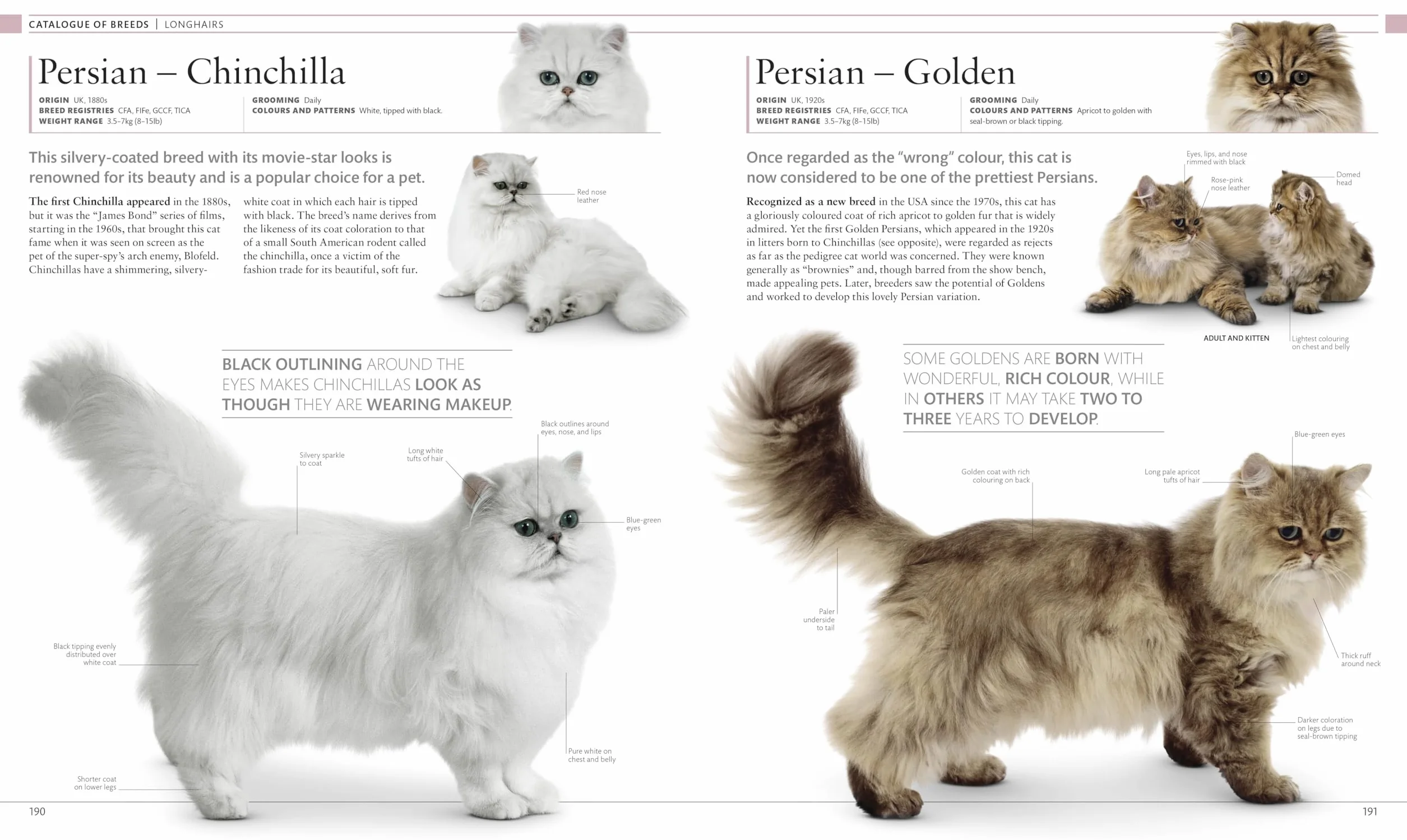 The Cat Encyclopedia: The Definitive Visual Guide
