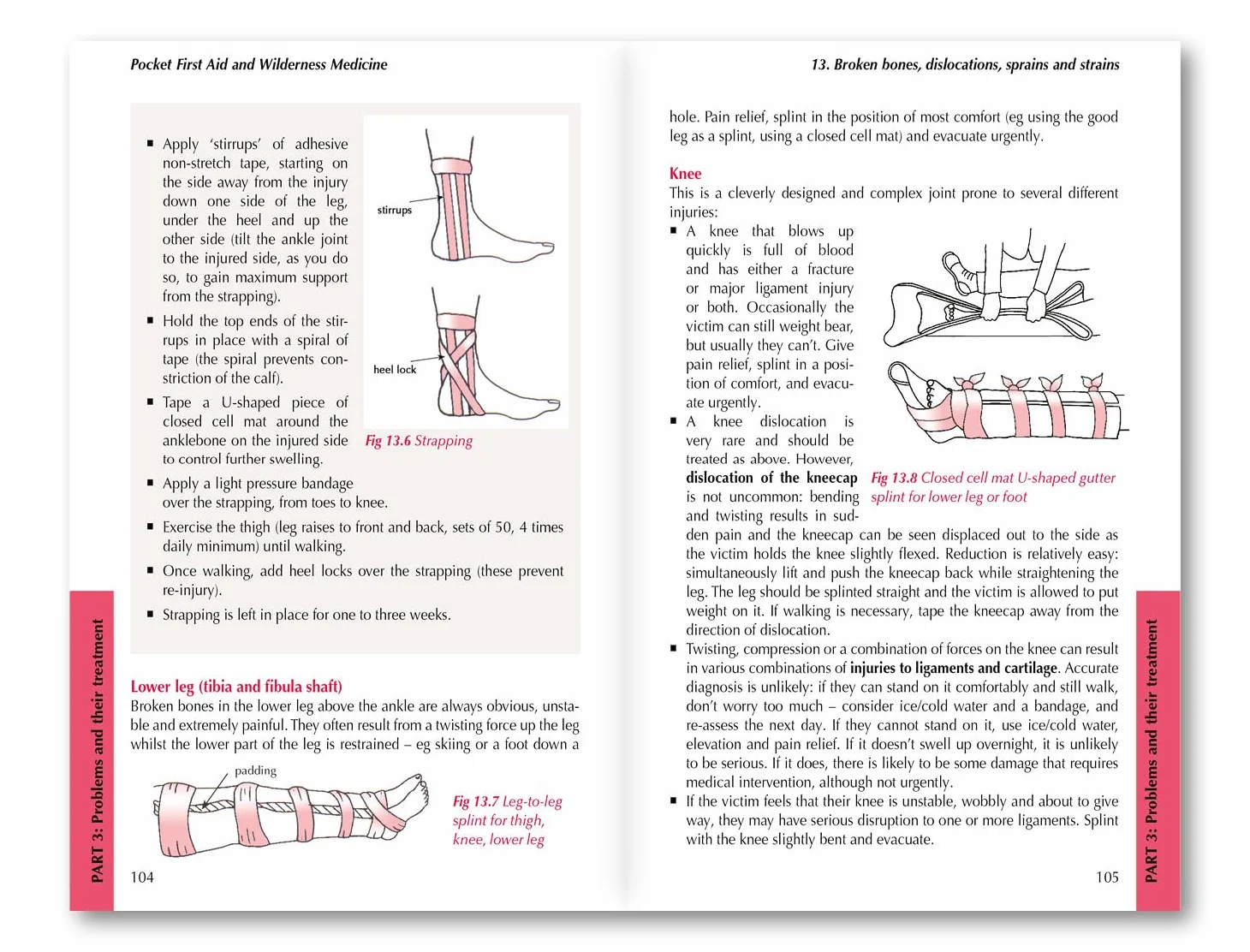Pocket First Aid and Wilderness Medicine: Essential for Expeditions