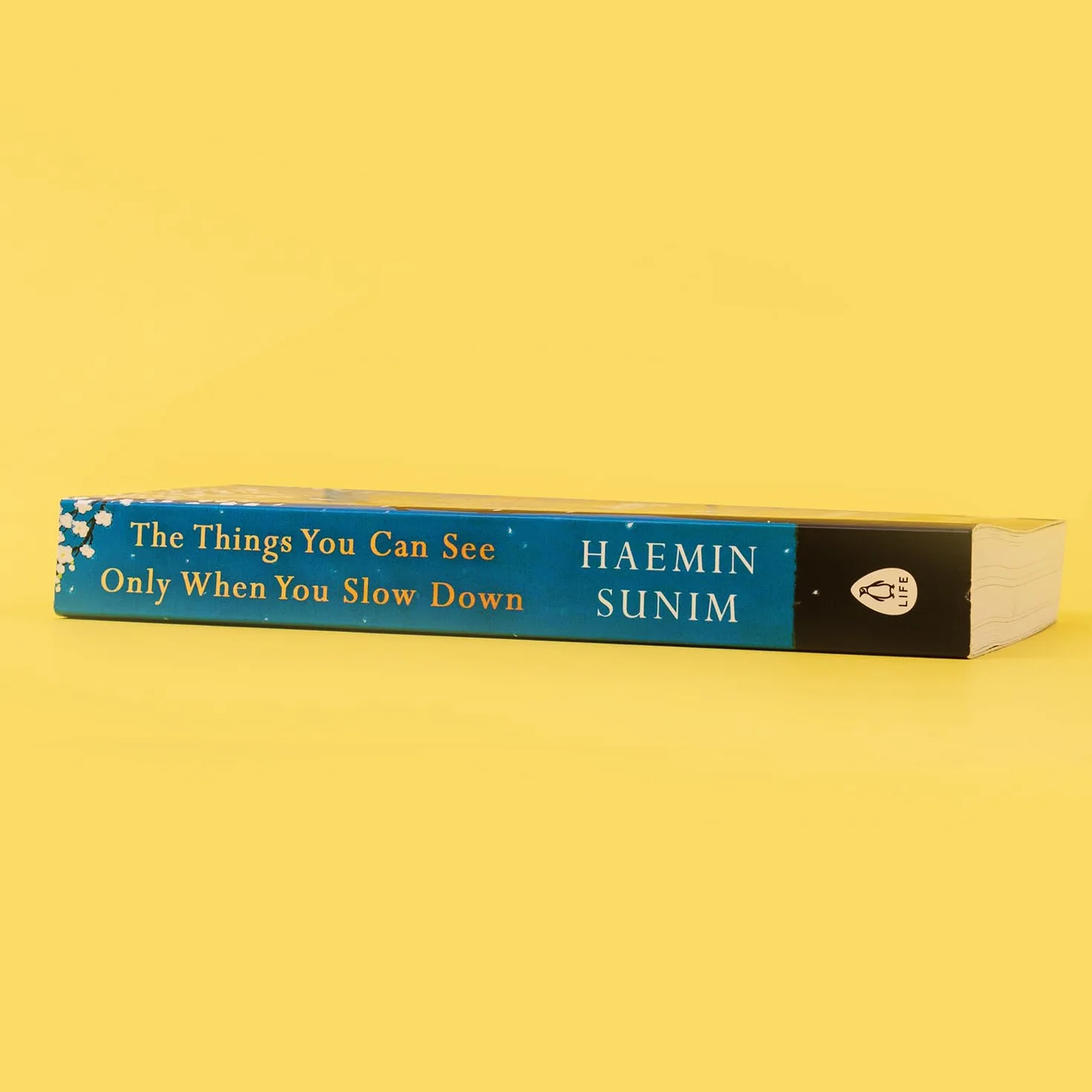 The Things You Can See Only When You Slow Down: Bring calm to your life with the ultimate mindfulness guide from a Buddhist monk