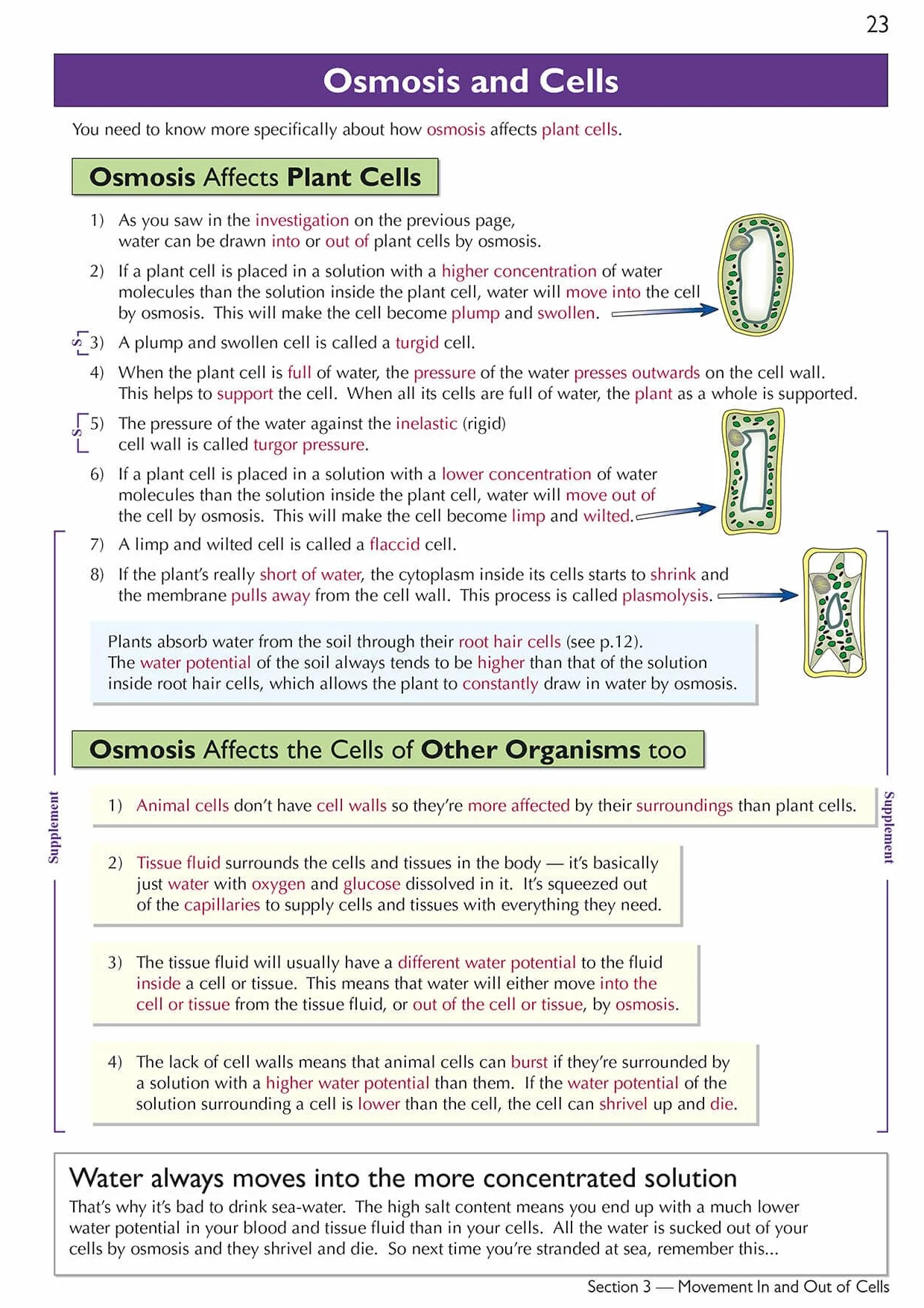 Cambridge International GCSE Biology Complete Revision & Practice