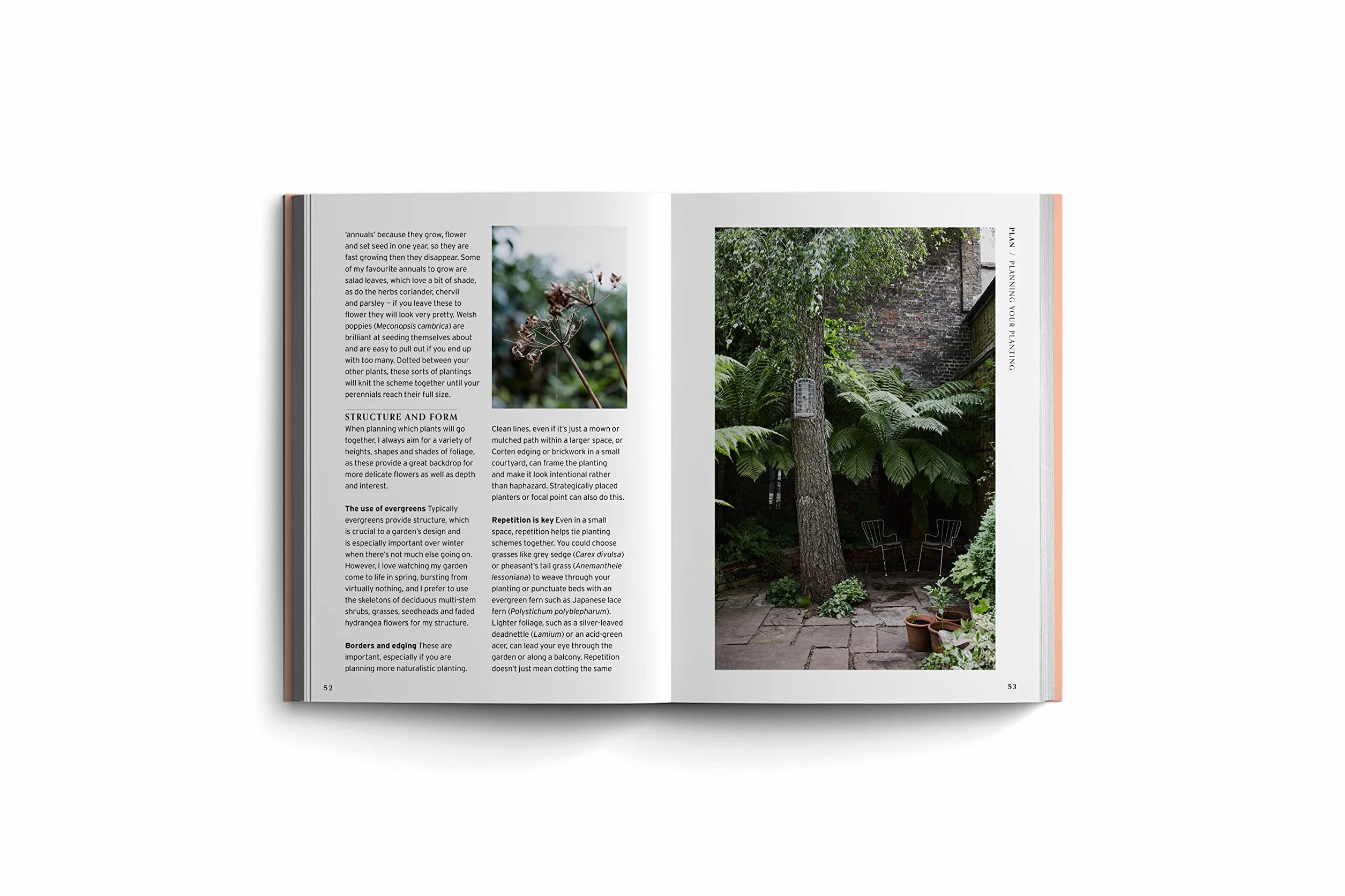 Bloom Gardener's Guide: Work with the Light, Grow the Right Plants, Bring Dark Corners to Life
