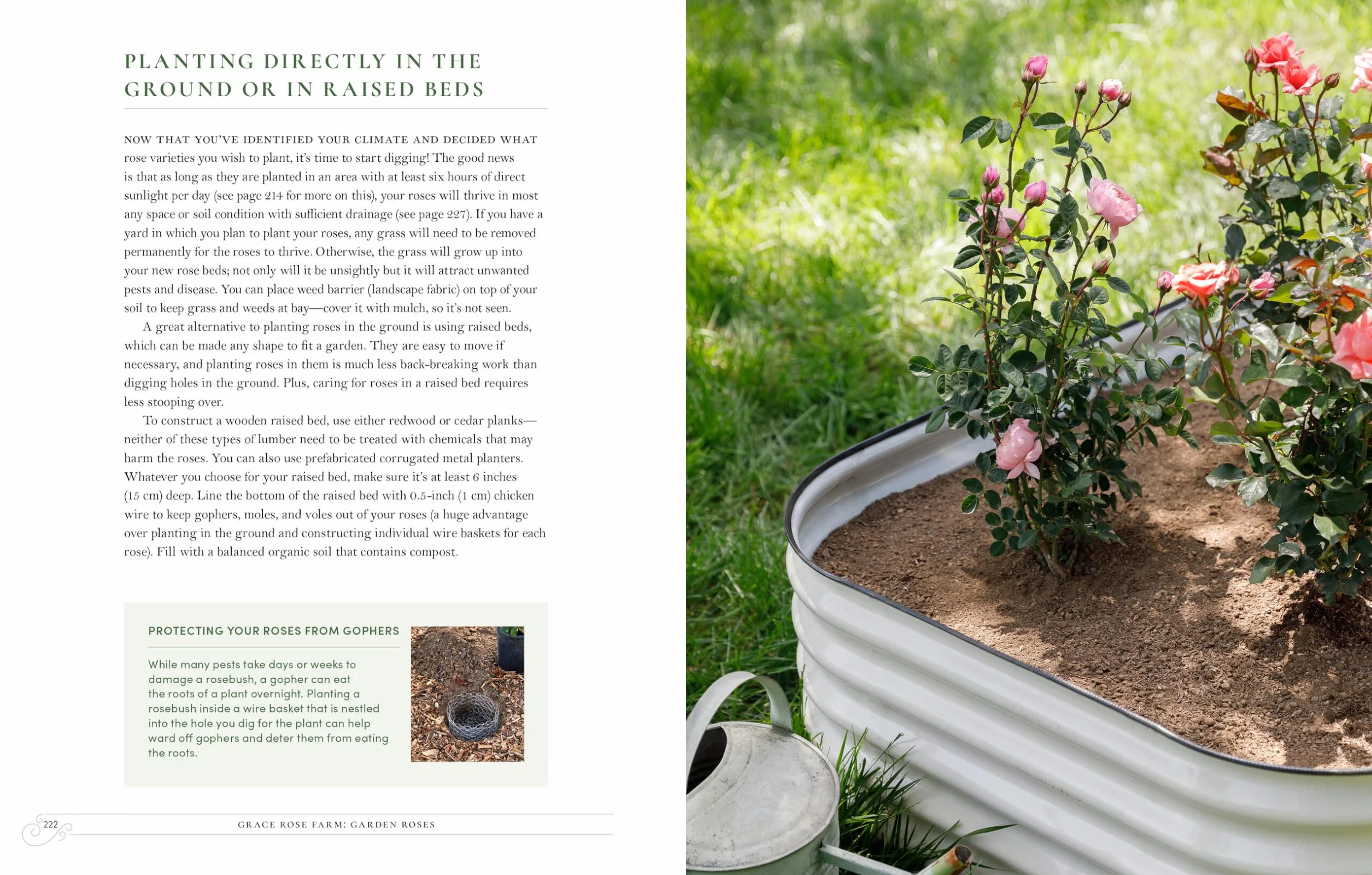 Grace Rose Farm: Garden Roses: Growing & Arranging Spectacular Blooms