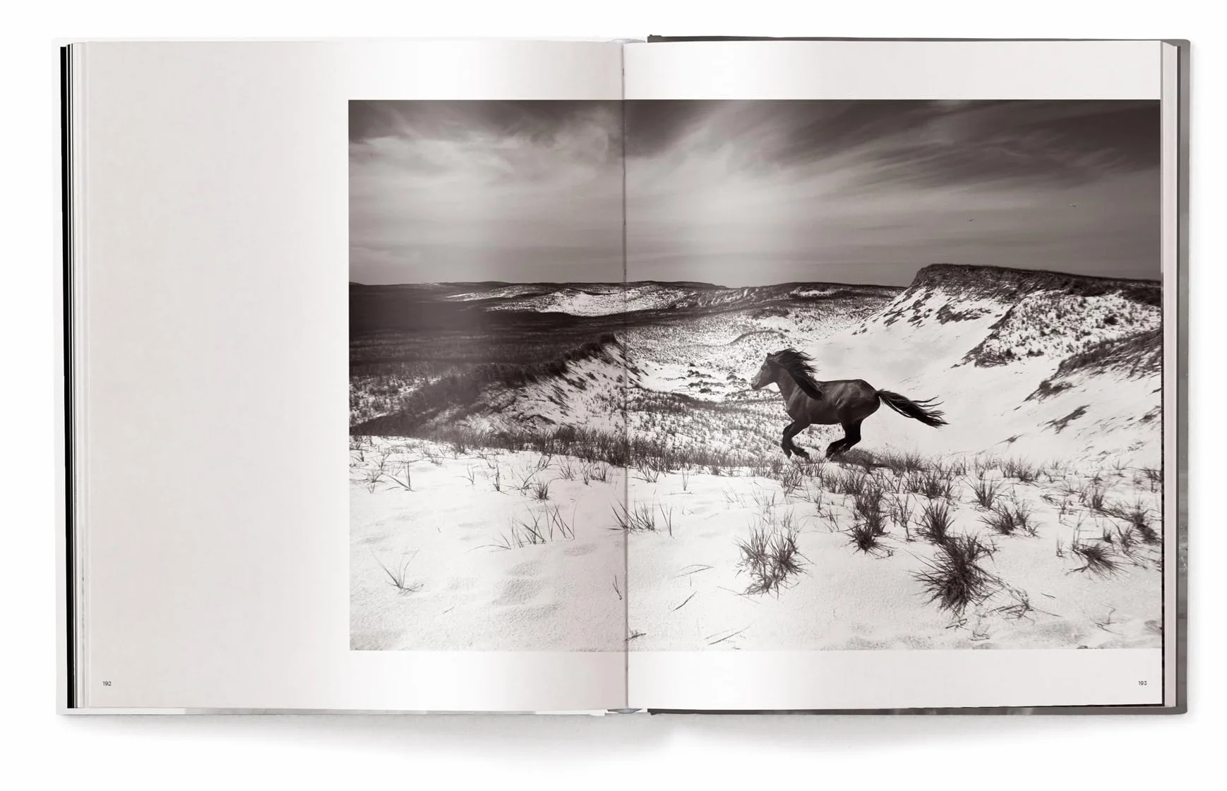 Untamed Spirits: Horses from Around the World