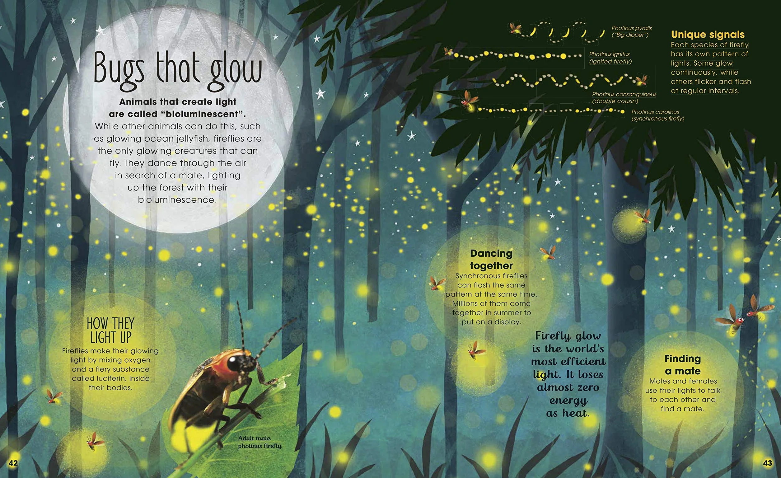 The Book of Brilliant Bugs
