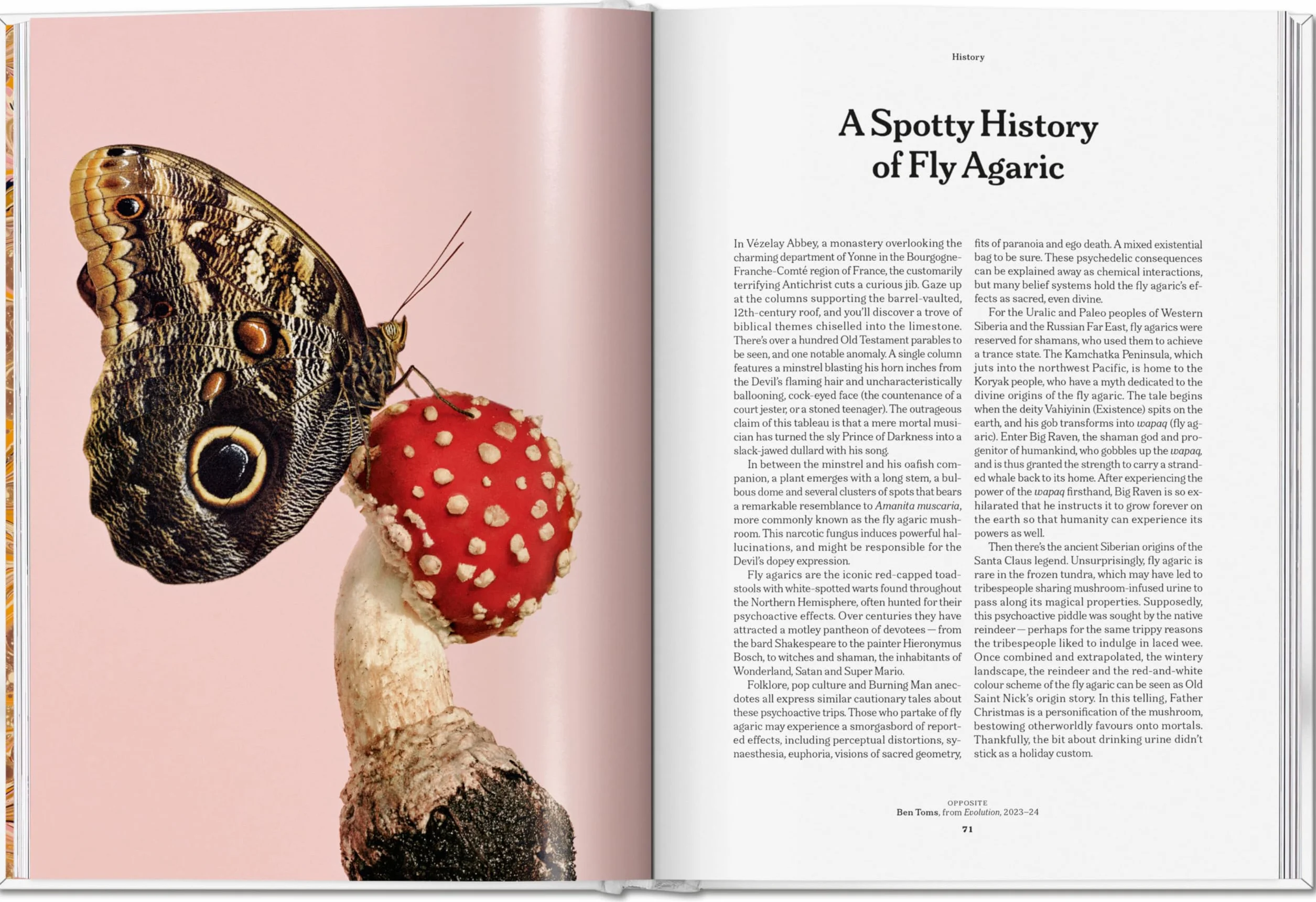 The Gourmand's Mushroom: A Collection of Stories & Recipes