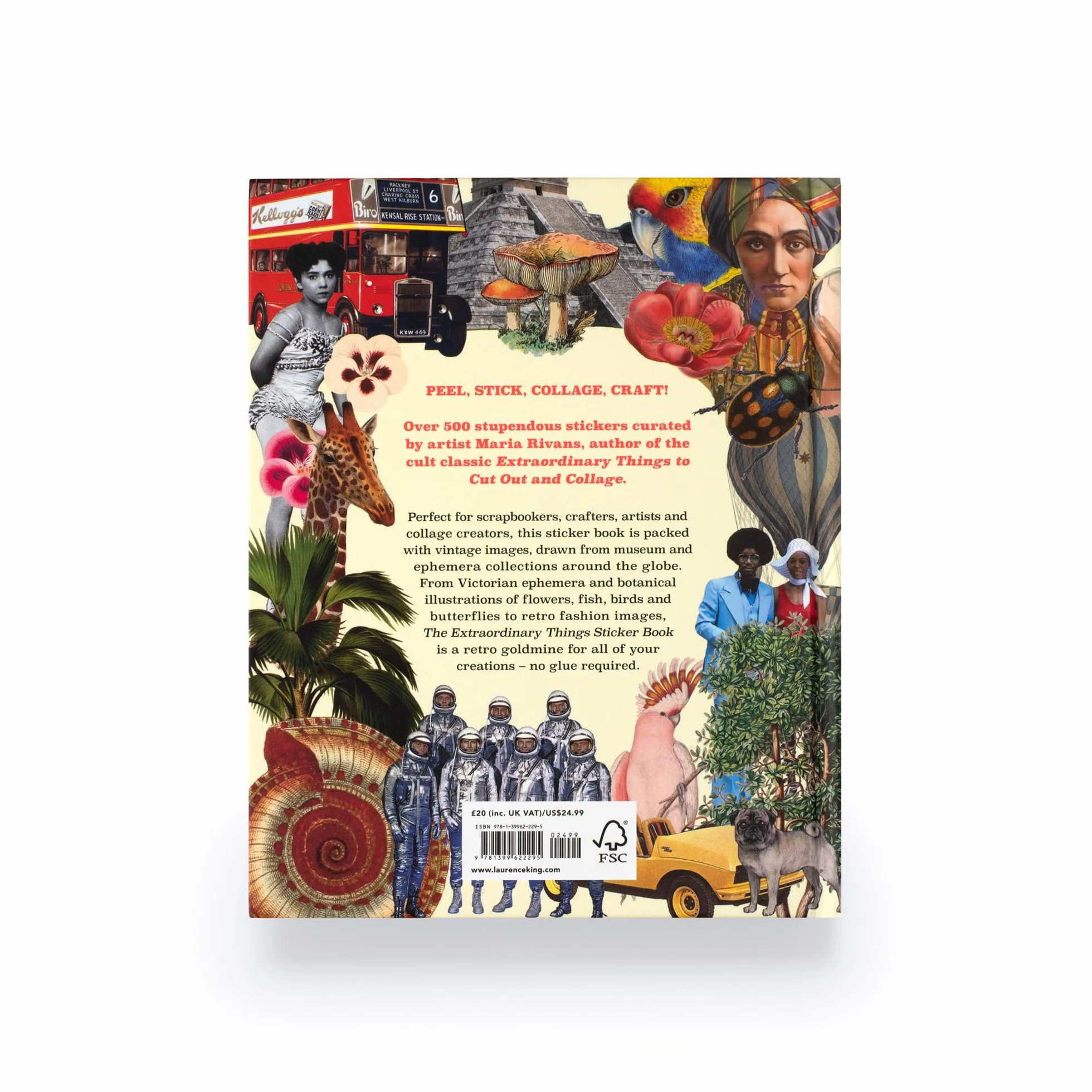 Extraordinary Things Sticker Book