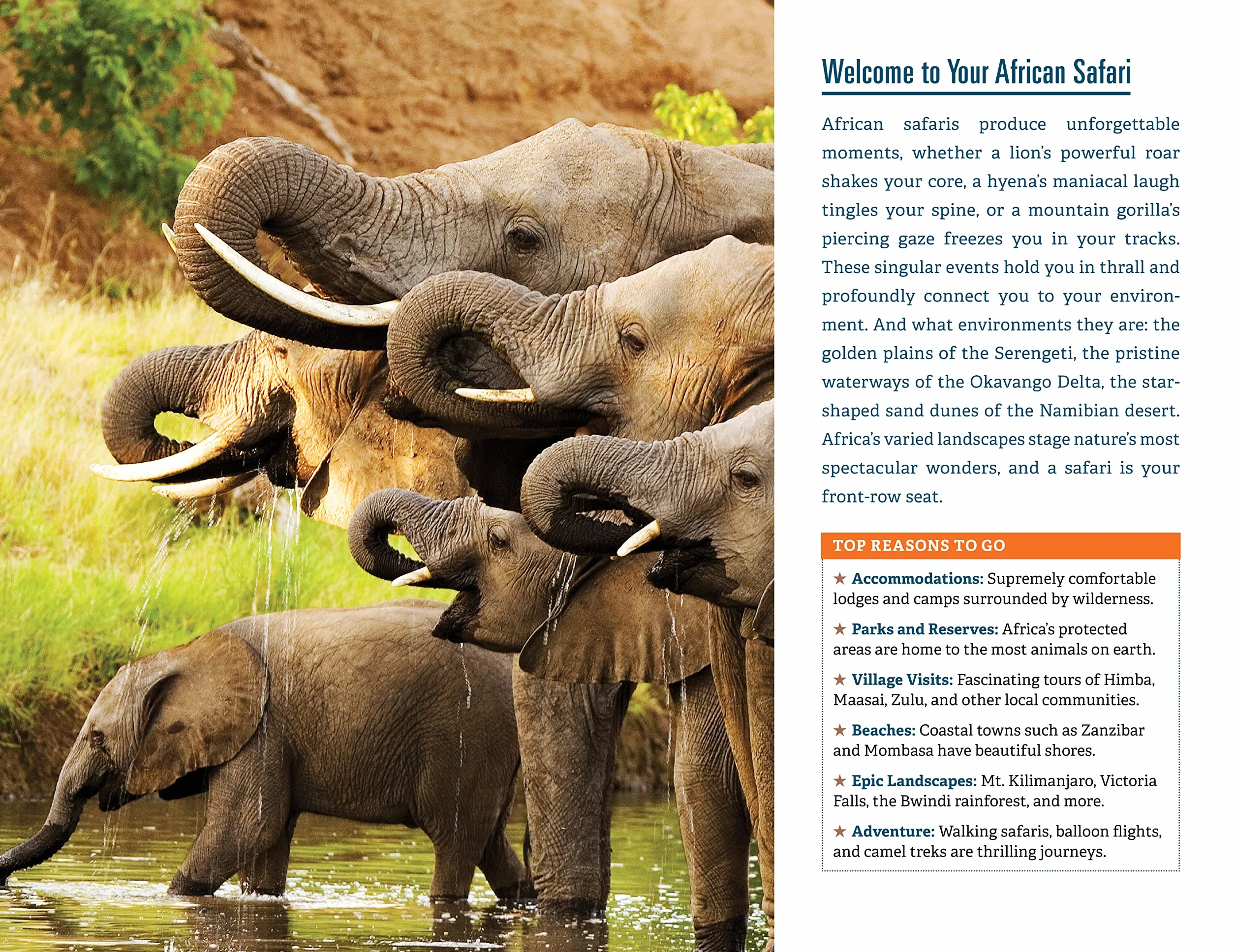 Fodor's Complete Guide to African Safaris: South Africa, Kenya, Tanzania, Botswana, Namibia, Rwanda, Uganda & Victoria Falls