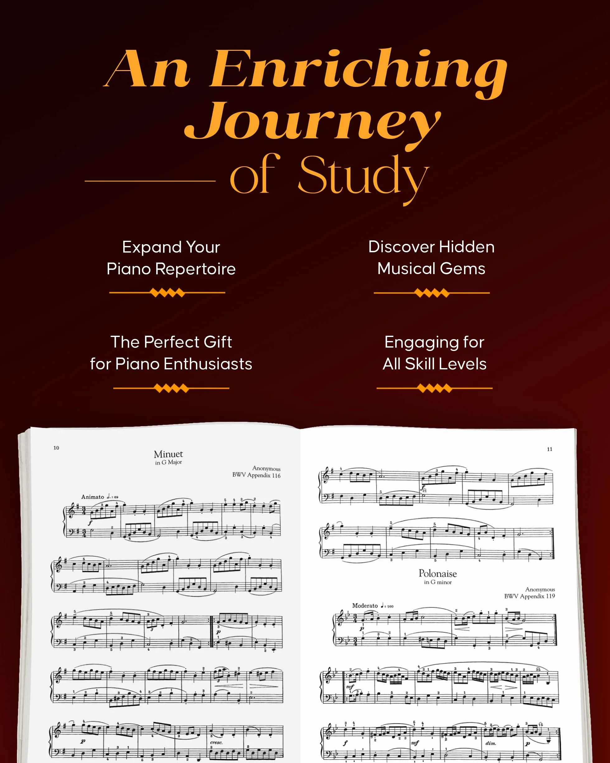 Schirmer's Library of Musical Classics The Giant Book of Intermediate Classical Piano Music Vol. 2139