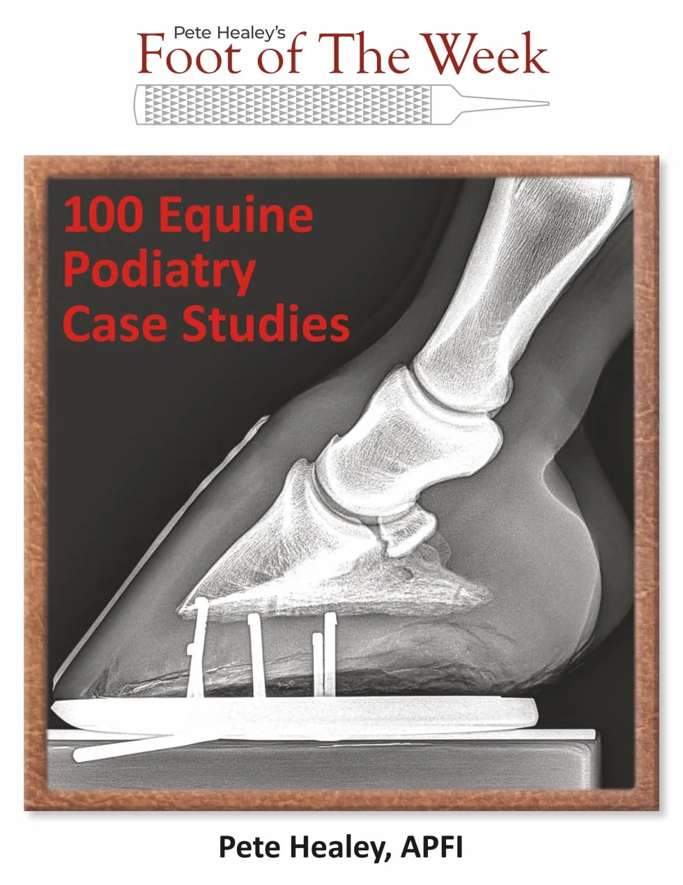 Equine Podiatry Case Studies 100
