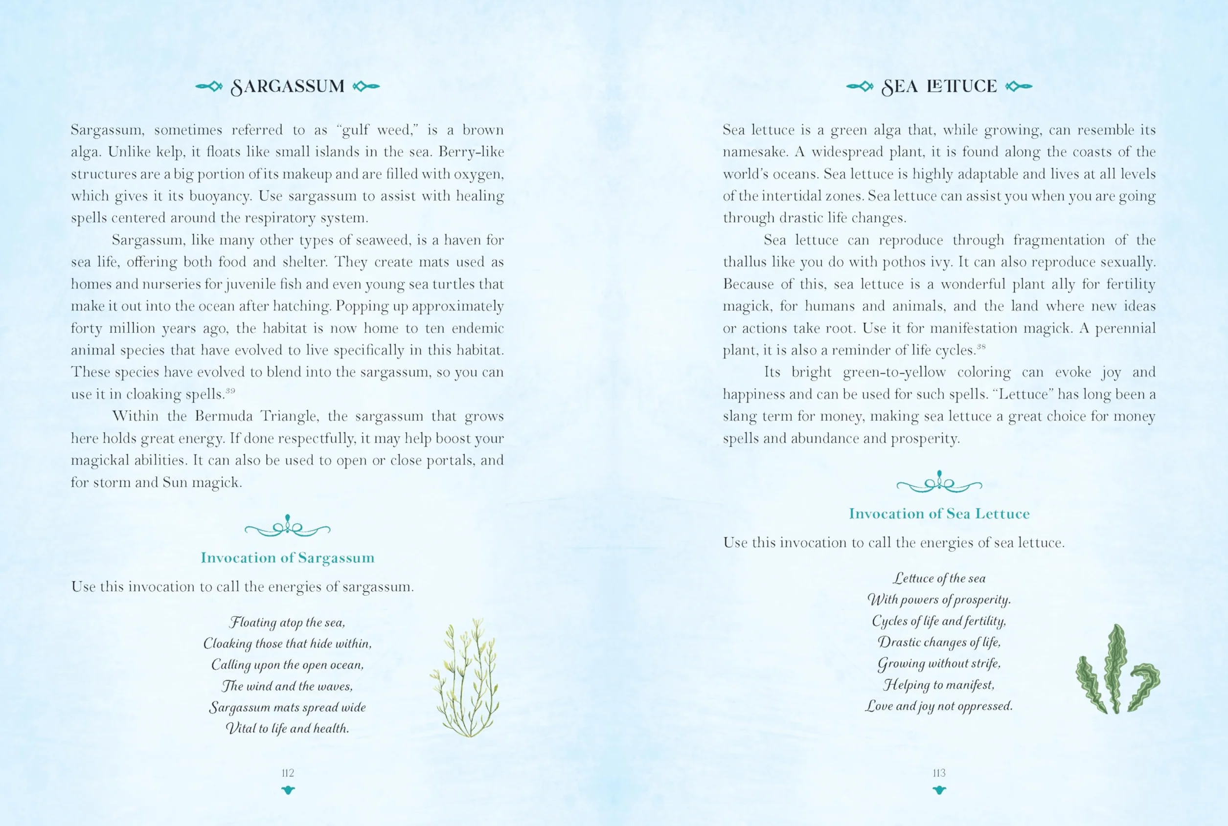 Sea Magick: Connect with the Ocean Through Folklore and Magickal Traditions