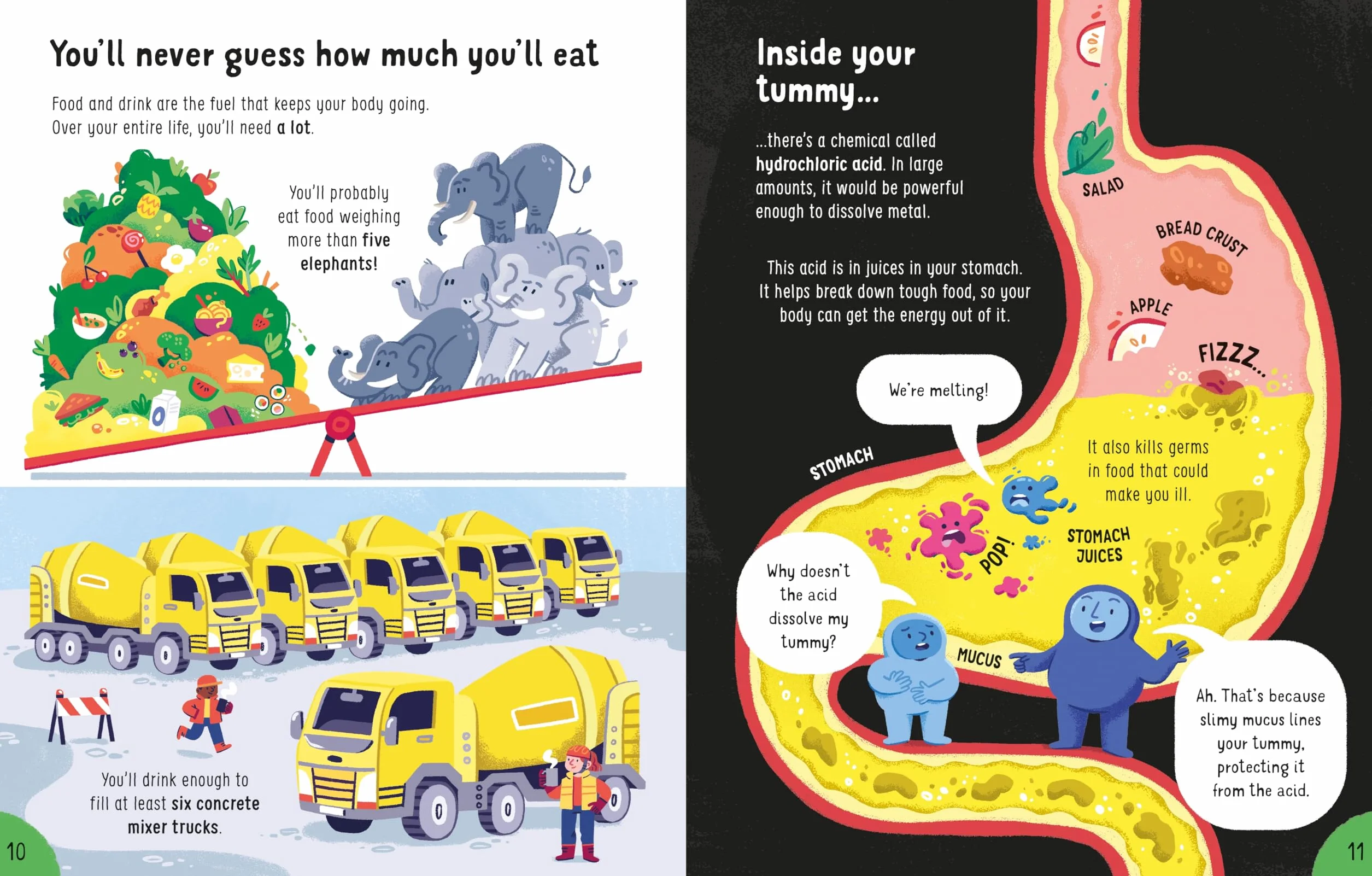 Big Book of Things to Know: A Fact Book for Kids