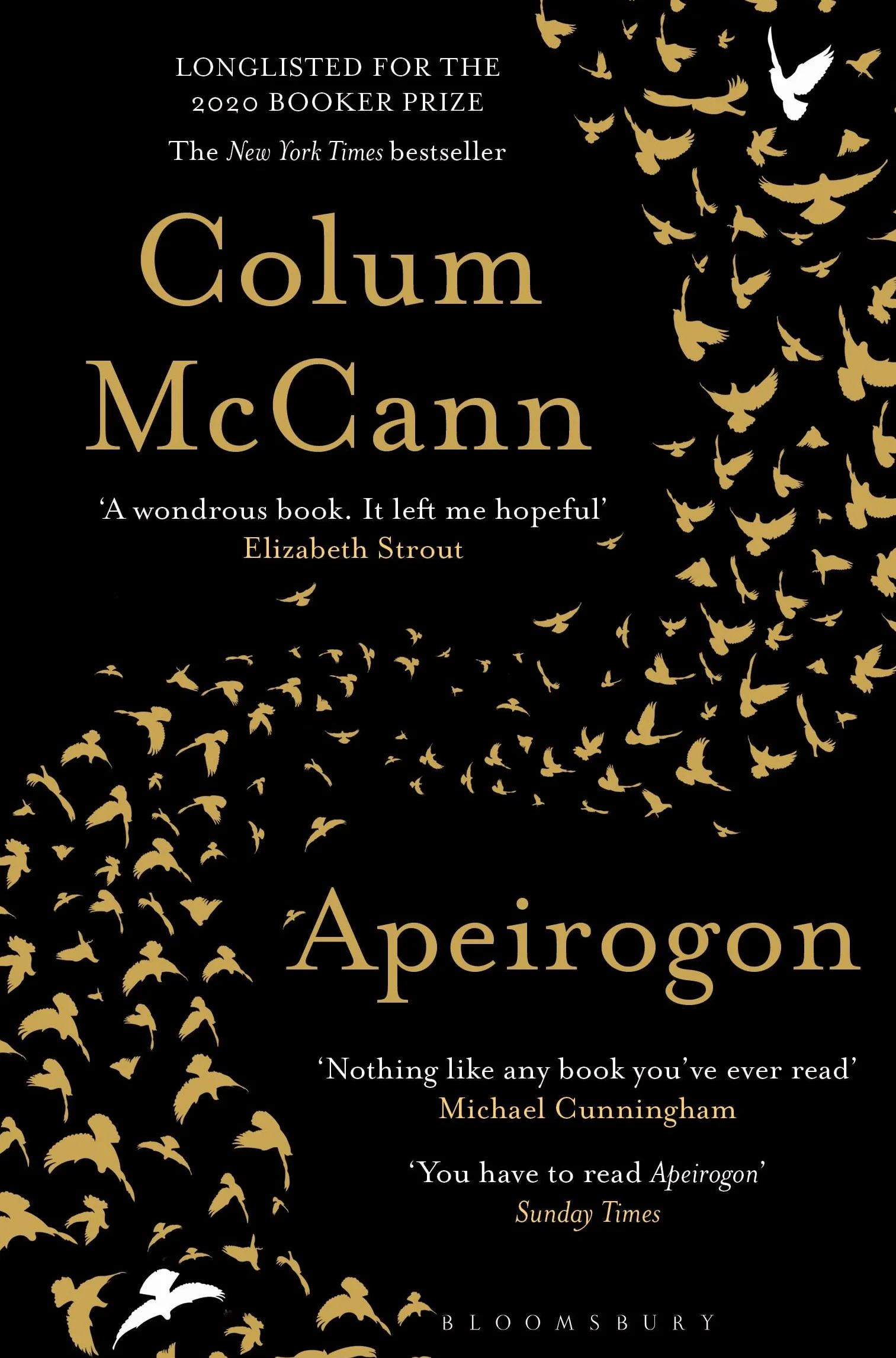 Apeirogon: a novel about Israel, Palestine and shared grief, nominated for the 2020 Booker Prize