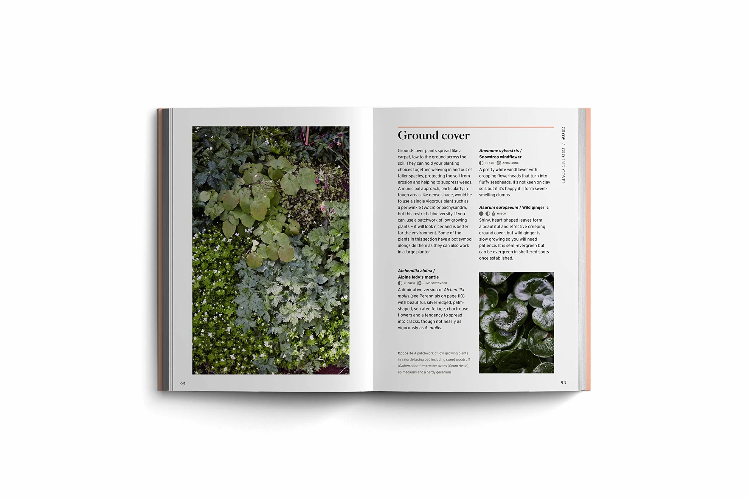 Bloom Gardener's Guide: Work with the Light, Grow the Right Plants, Bring Dark Corners to Life