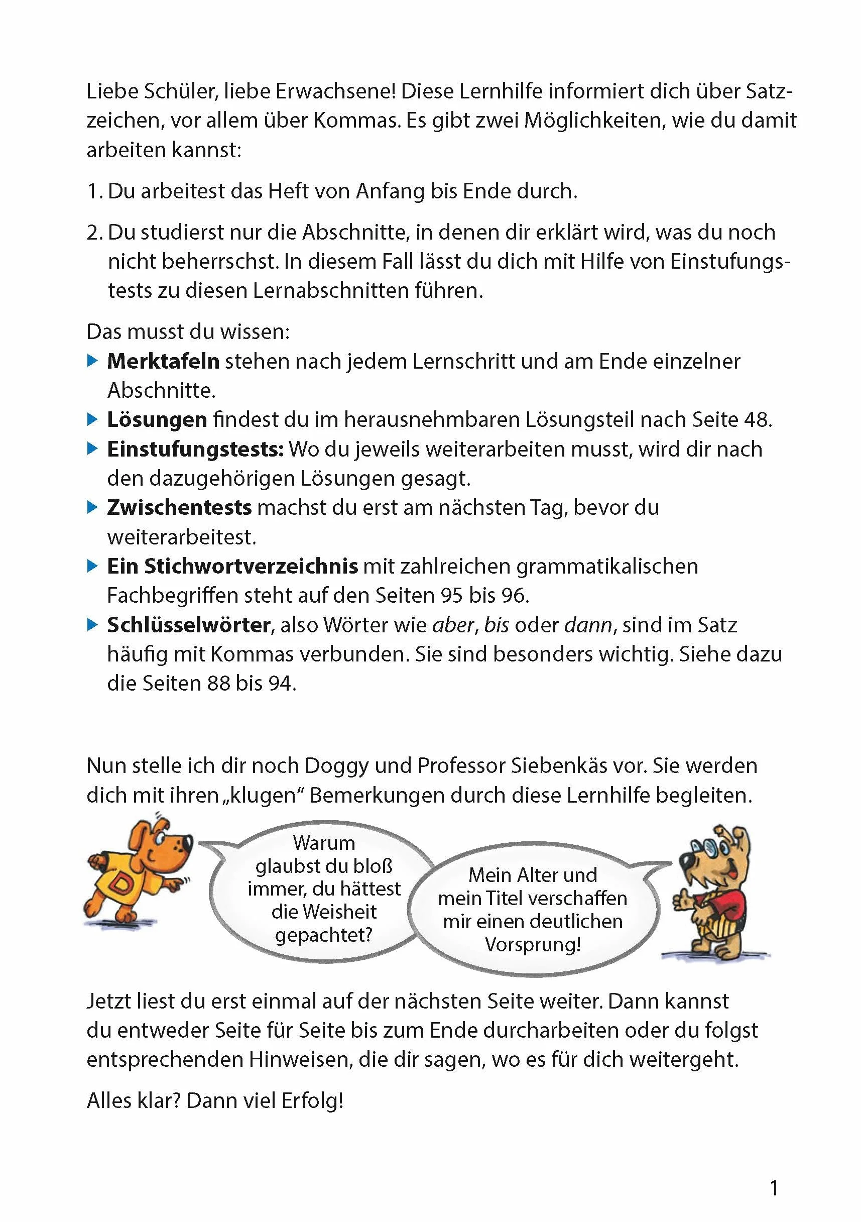 Zeichensetzung ab 6. Klasse und für Erwachsene: Deutsch: Satzzeichen-Übungen mit Lösungen, Kommasetzung, Komma-Regeln, Komma setzen üben, Satzzeichen richtig setzen: 261