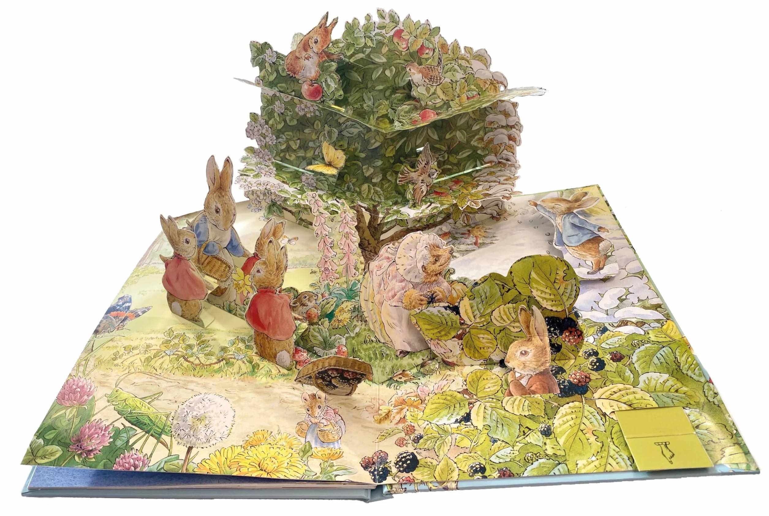 Peter Rabbit: A Tale of Four Seasons Pop-up Book