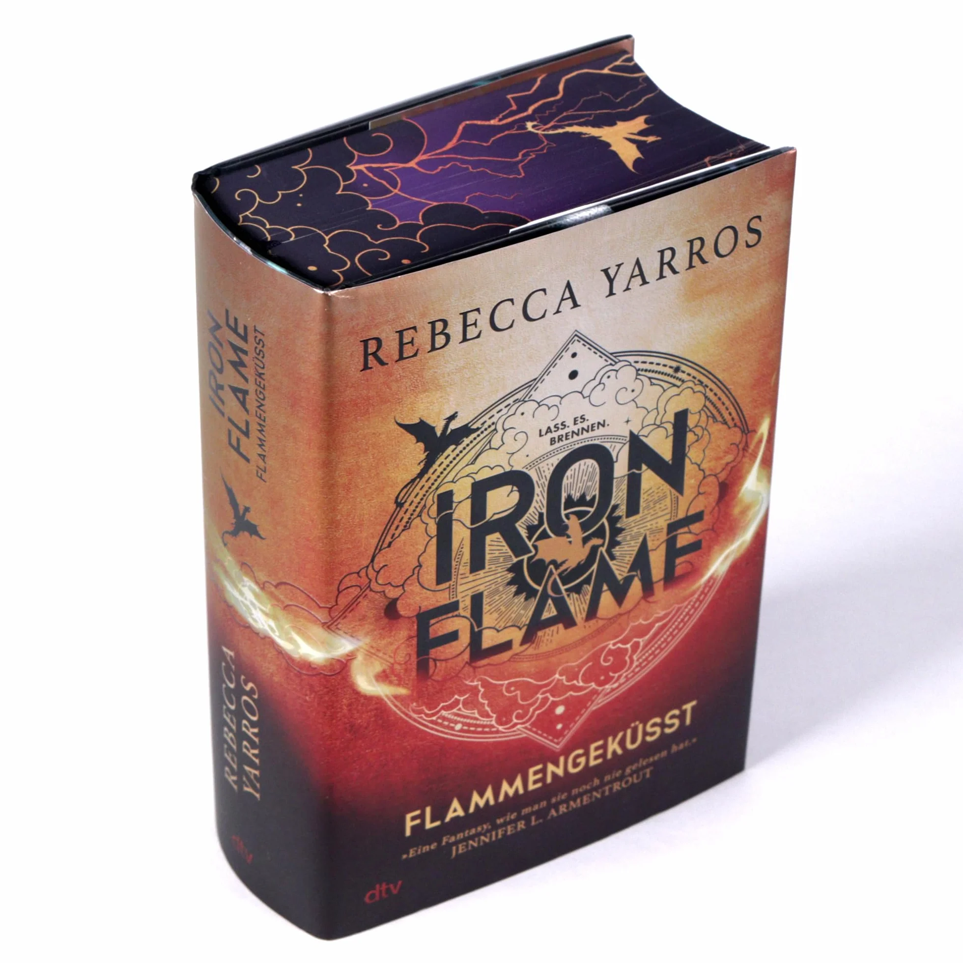 Iron Flame – Flammengeküsst: Deluxe-Ausgabe mit Farbschnitt Roman 2 Fourth Wing