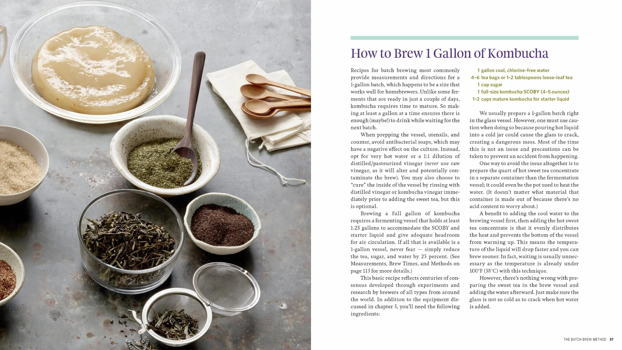 The Big Book of Kombucha: Brewing, Flavoring, and Enjoying Fermented Tea