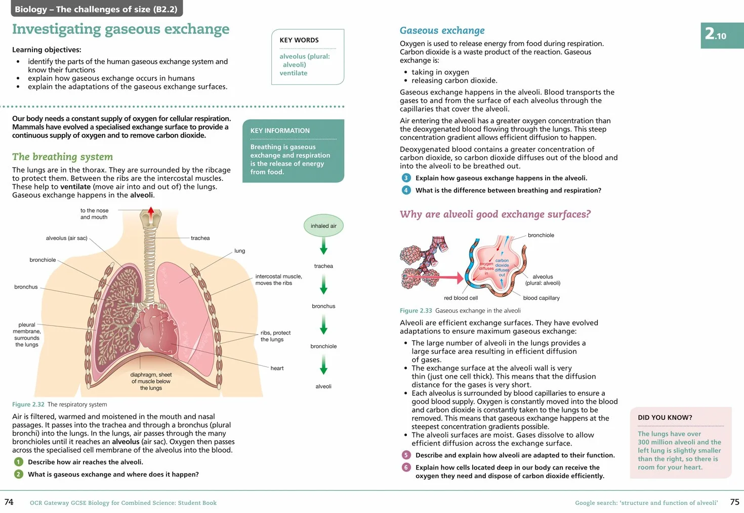 OCR Gateway GCSE Biology for Combined Science 9-1 Student Book