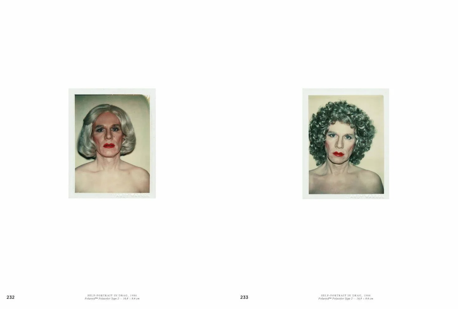 Andy Warhol Velvet Rage and Beauty