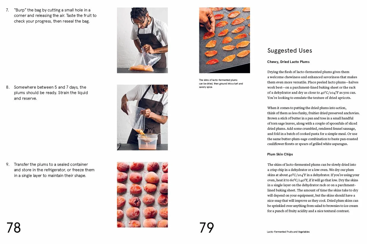 The Noma Guide to Fermentation: Koji, Kombuchas, Shoyus, Misos, Vinegars, Garums, Lacto-Ferments, Black Fruits & Vegetables