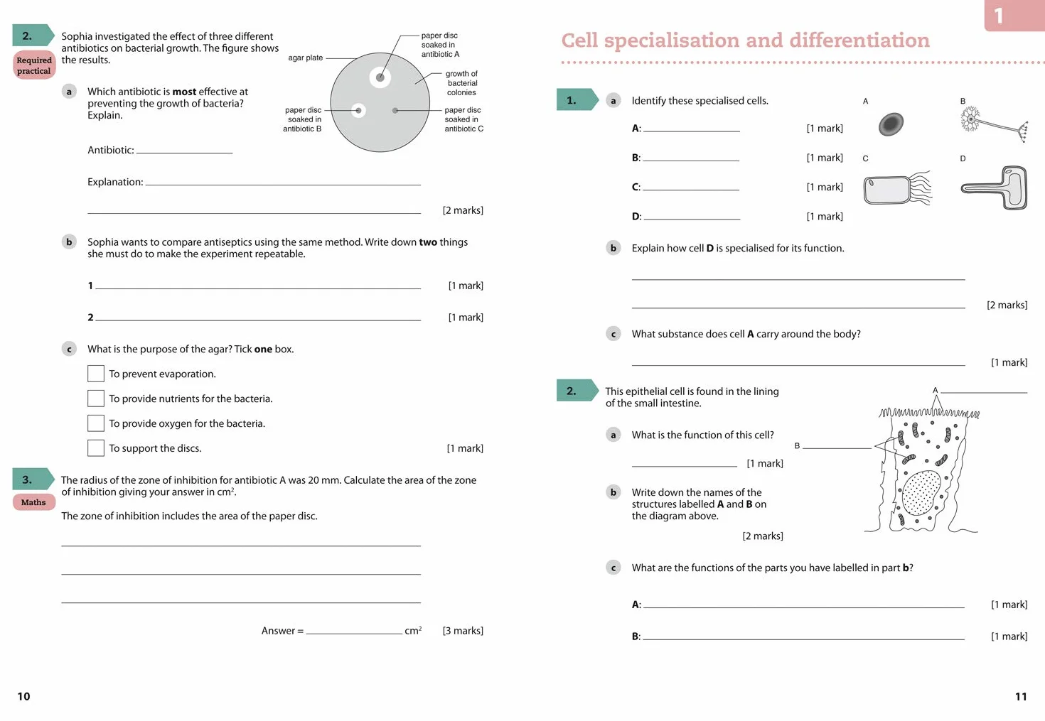 AQA GCSE (9–1) Biology Grade 6–7 Booster Workbook