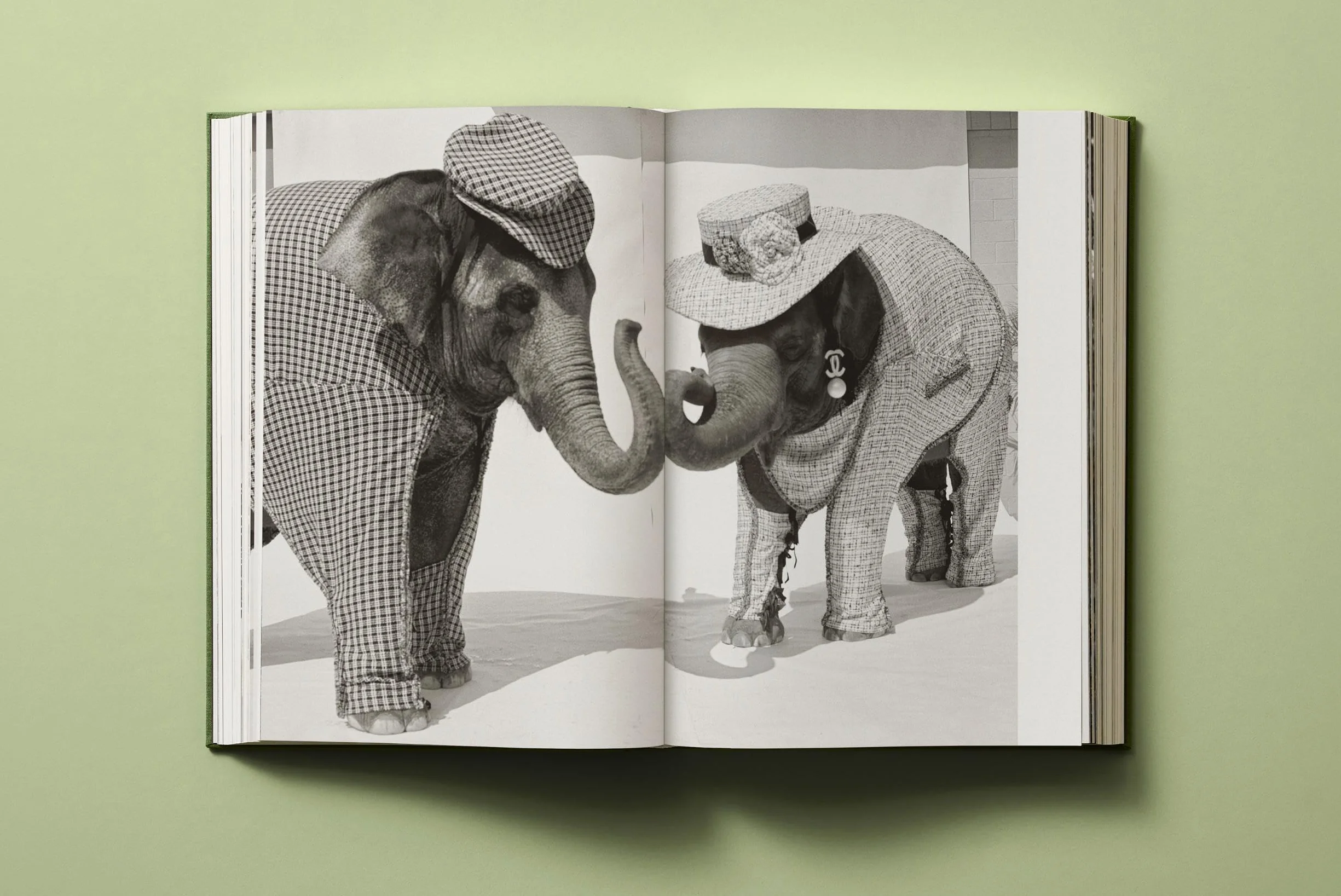 Bruce Weber My Education